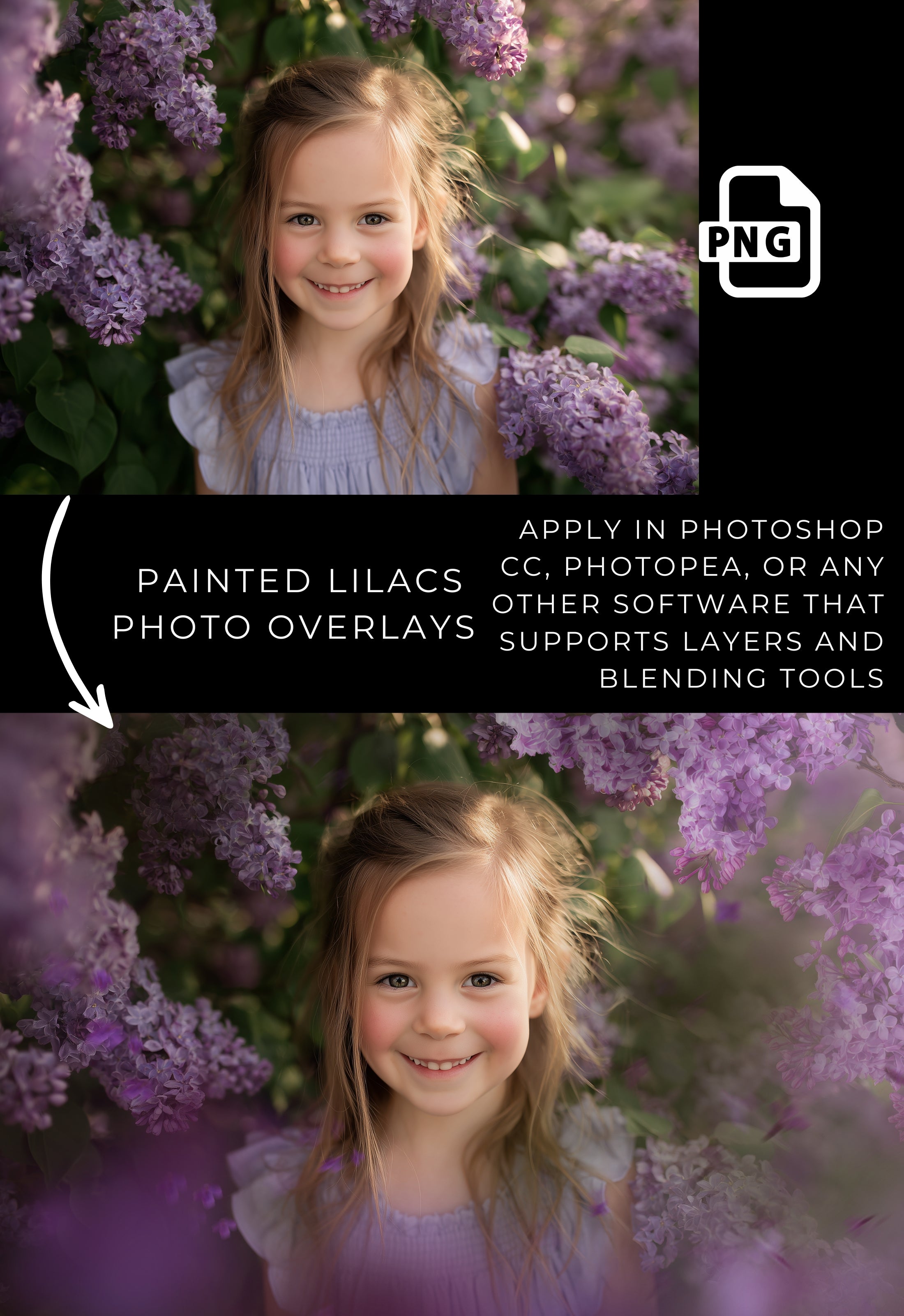 Purple Lilac Photo Overlays: Floral Photography Effects