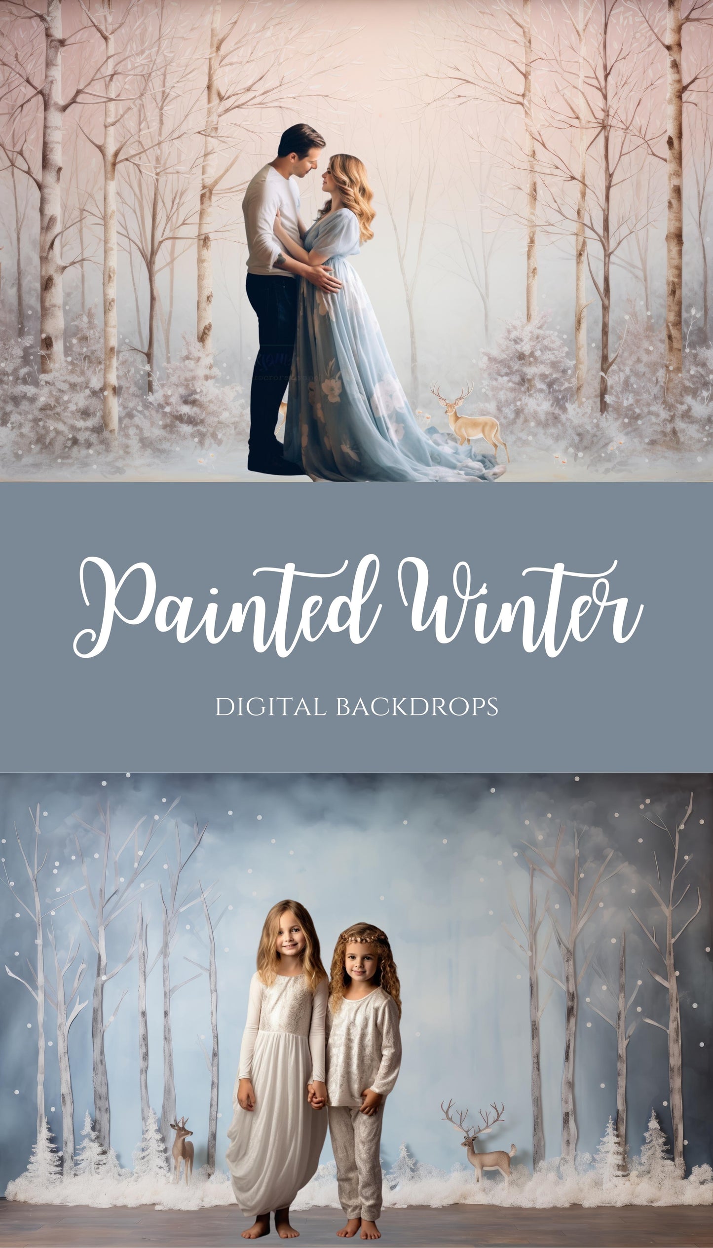 Winter Photo Studio Digital Backdrops