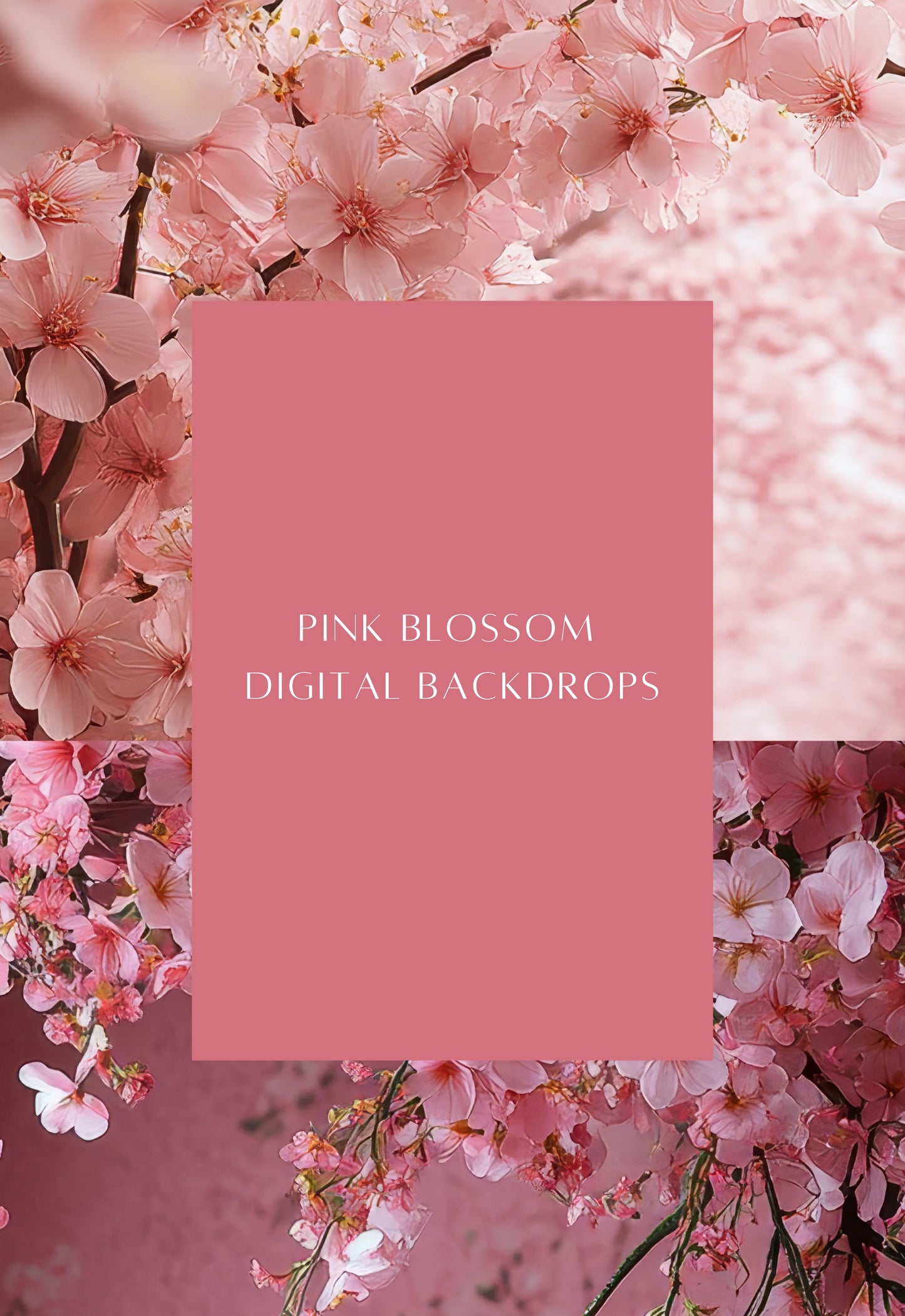 Pink Blossom Maternity Digital Backdrops