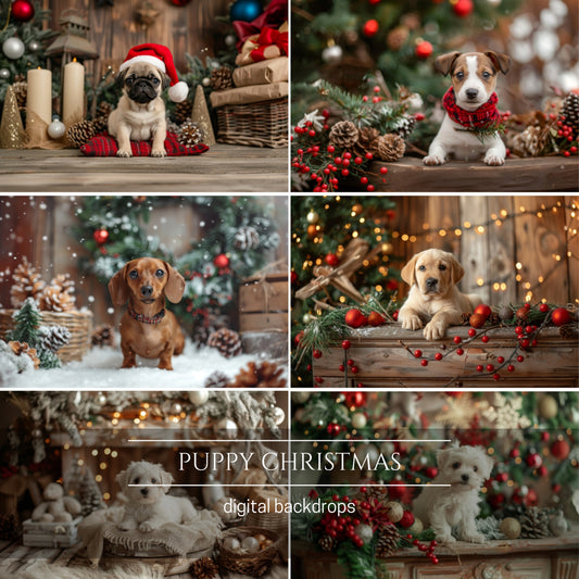 Puppy Christmas Digital Backdrops
