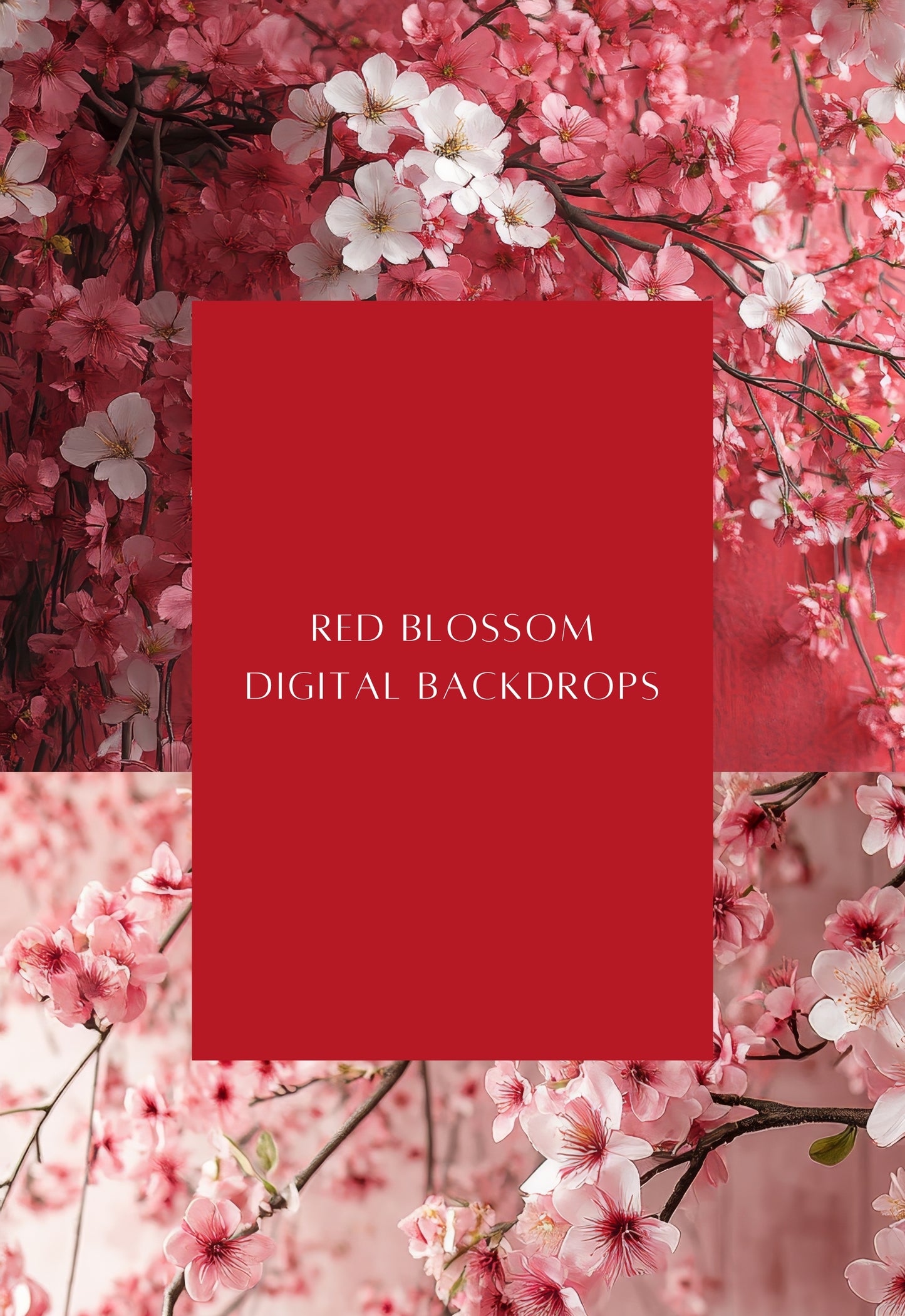 Red Blossom Maternity Digital Backdrops