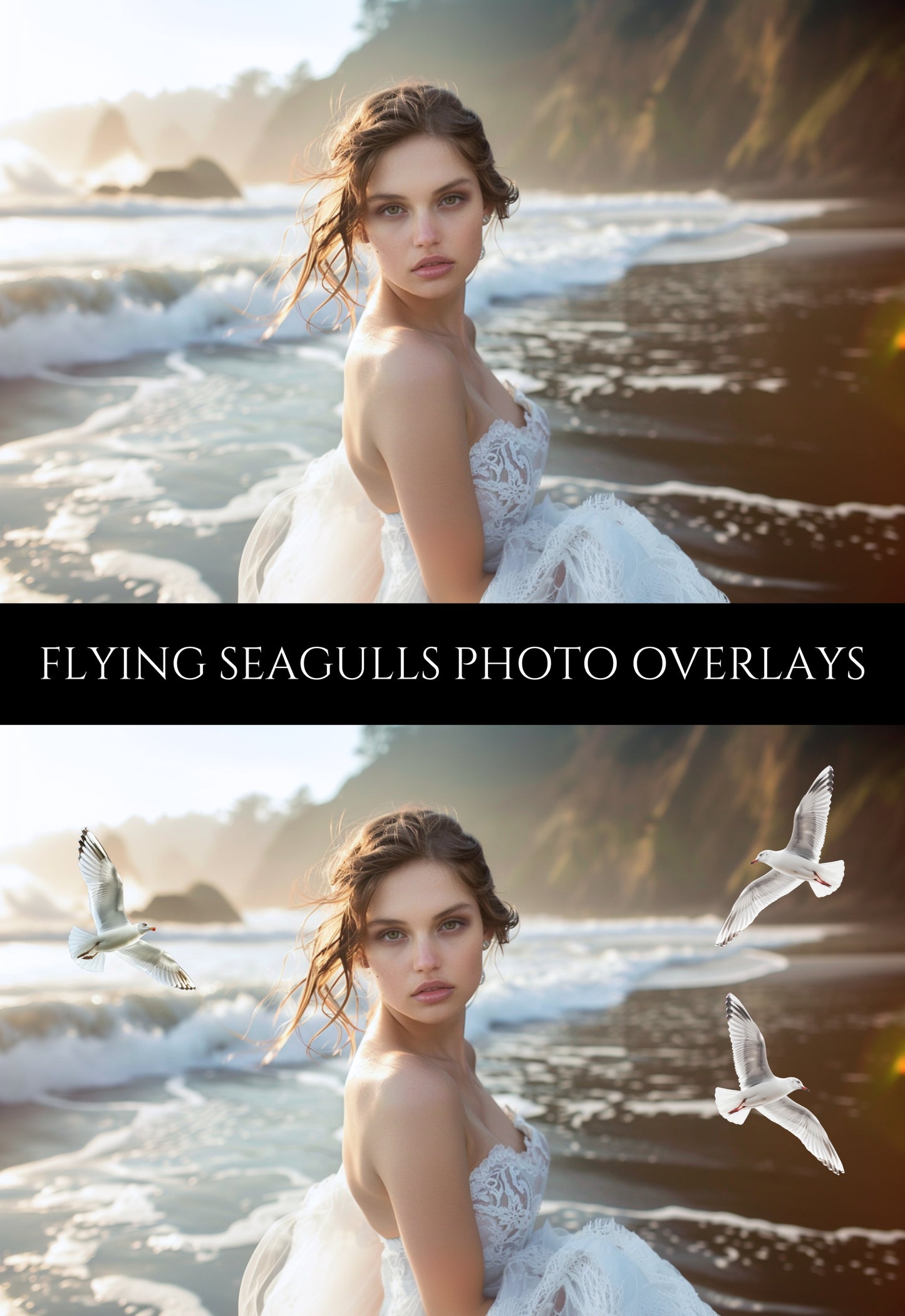 Flying Seagulls Photo Overlays