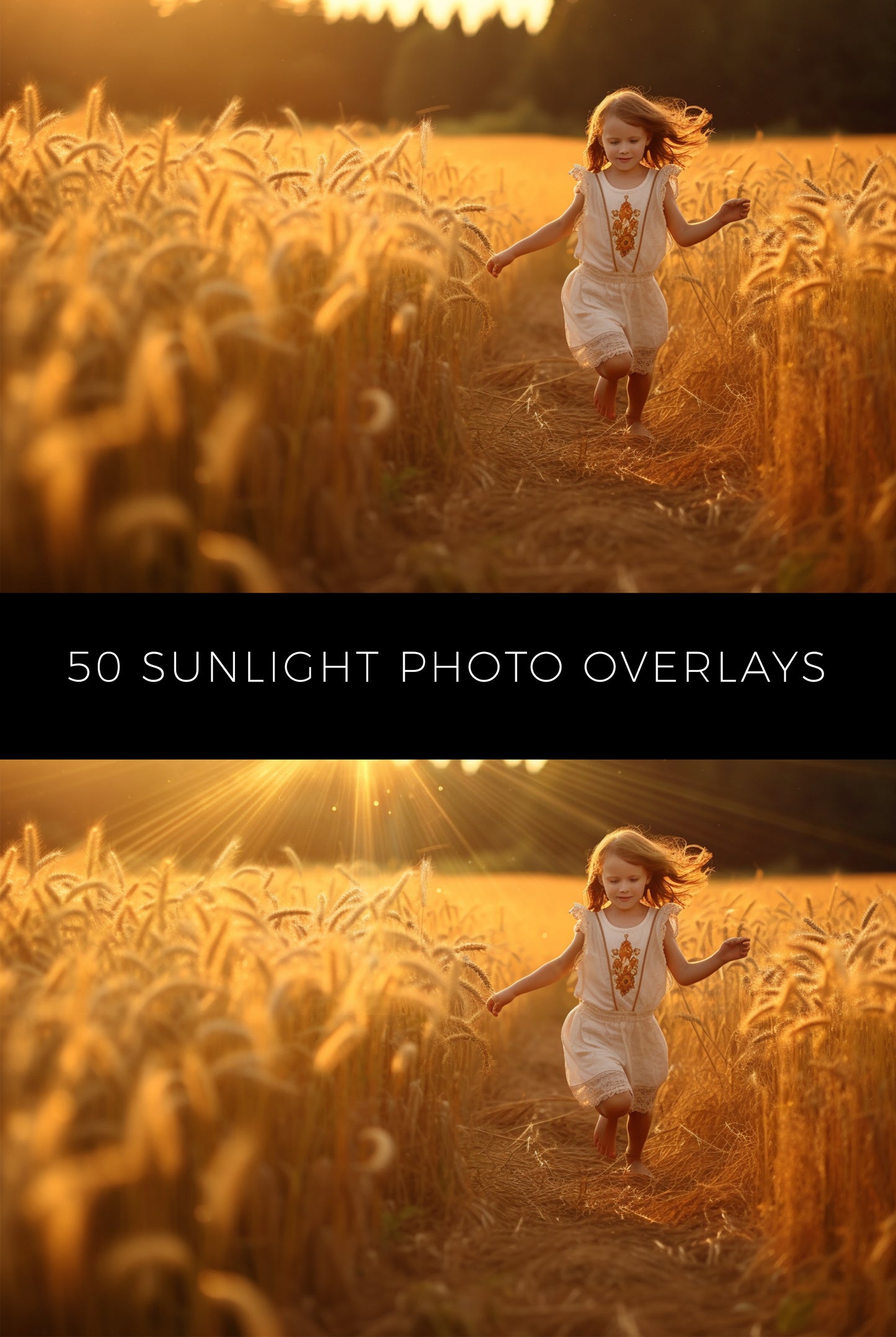 50 Sunlight Photo Overlays