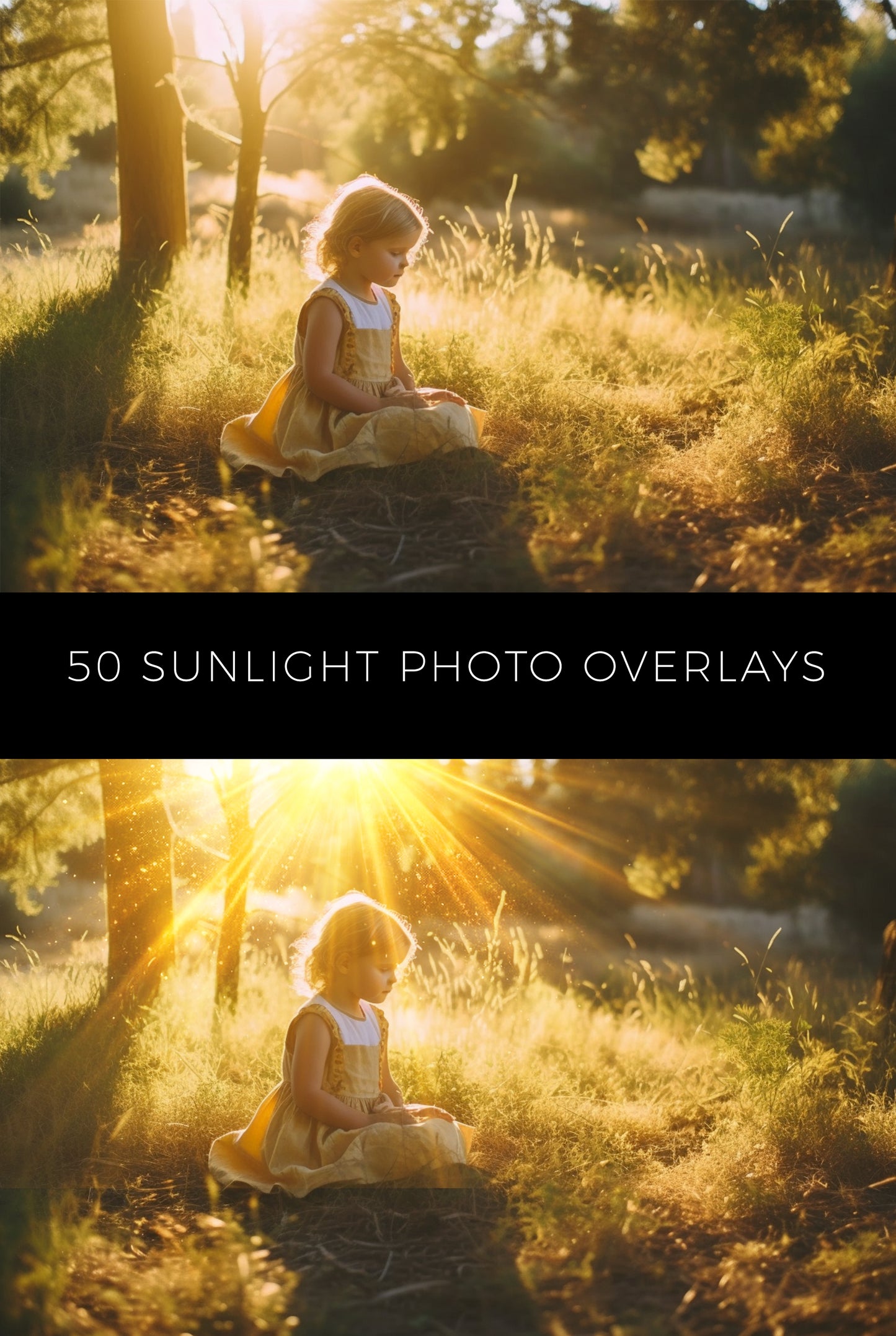 50 Sunlight Photo Overlays