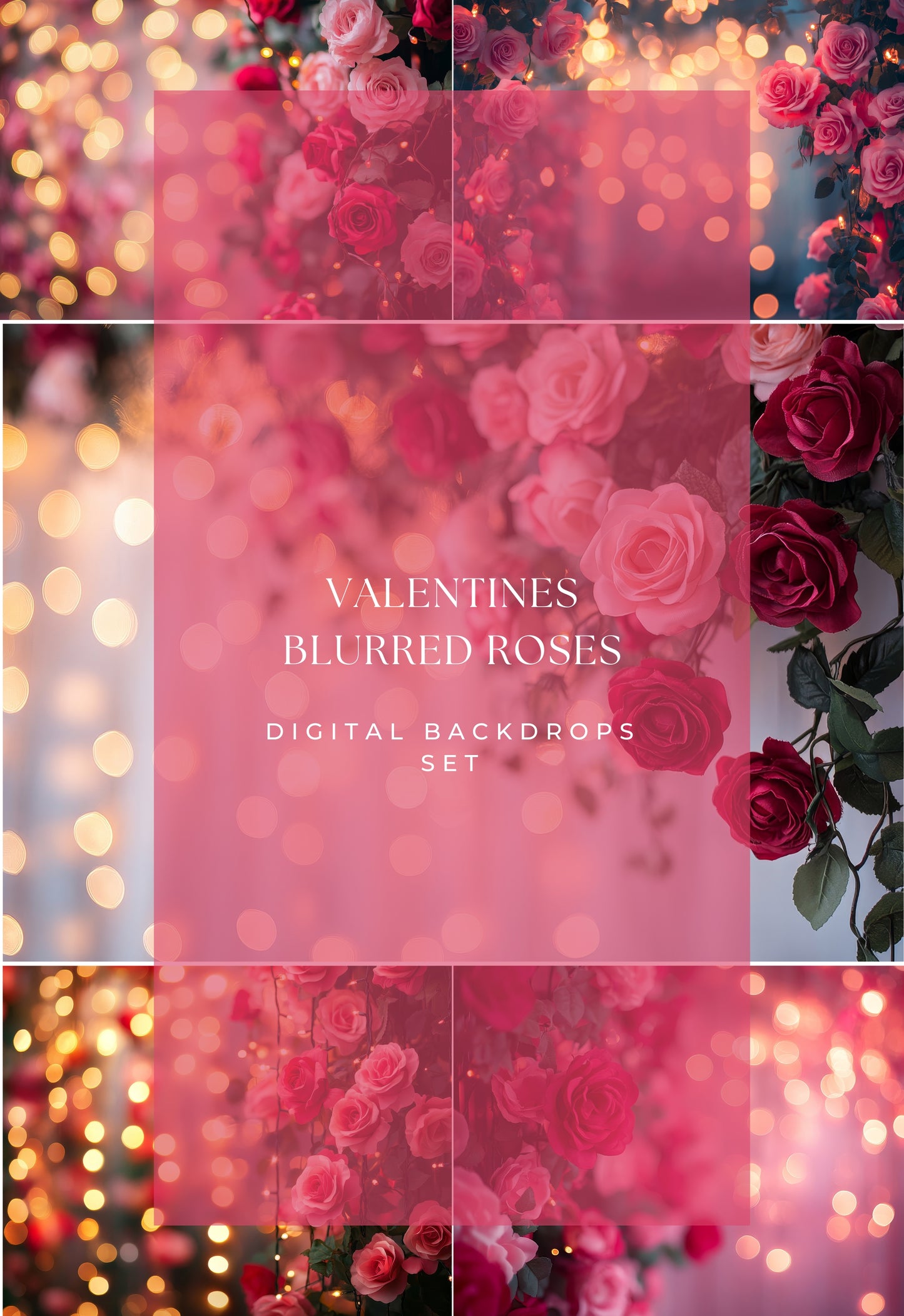 Valentine Roses Soft Bokeh Digital Backdrops