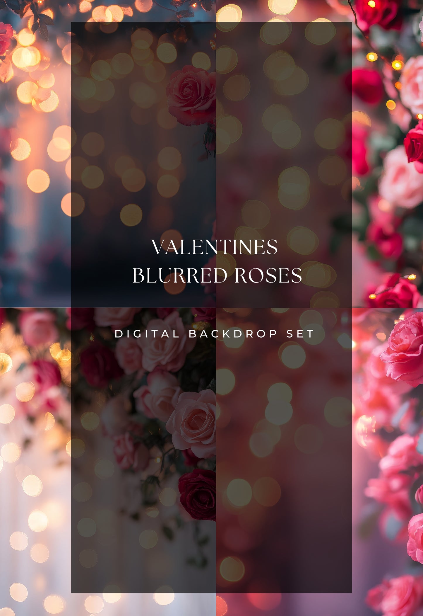 Valentine Roses Soft Bokeh Digital Backdrops