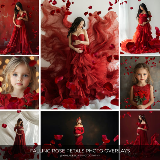 Red Rose Petals Photo Overlays
