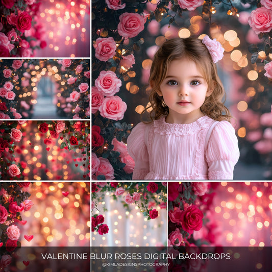 Valentine Roses Soft Bokeh Digital Backdrops