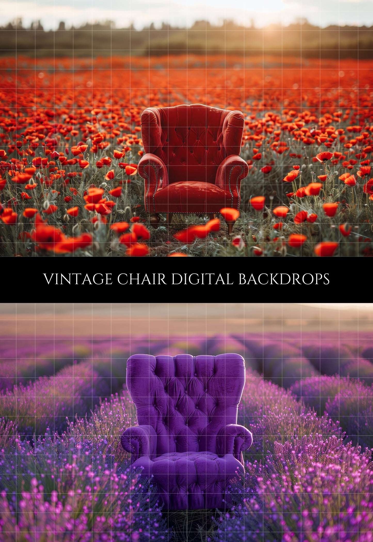 Vintage Chair in Summer Flower Field Backdrop