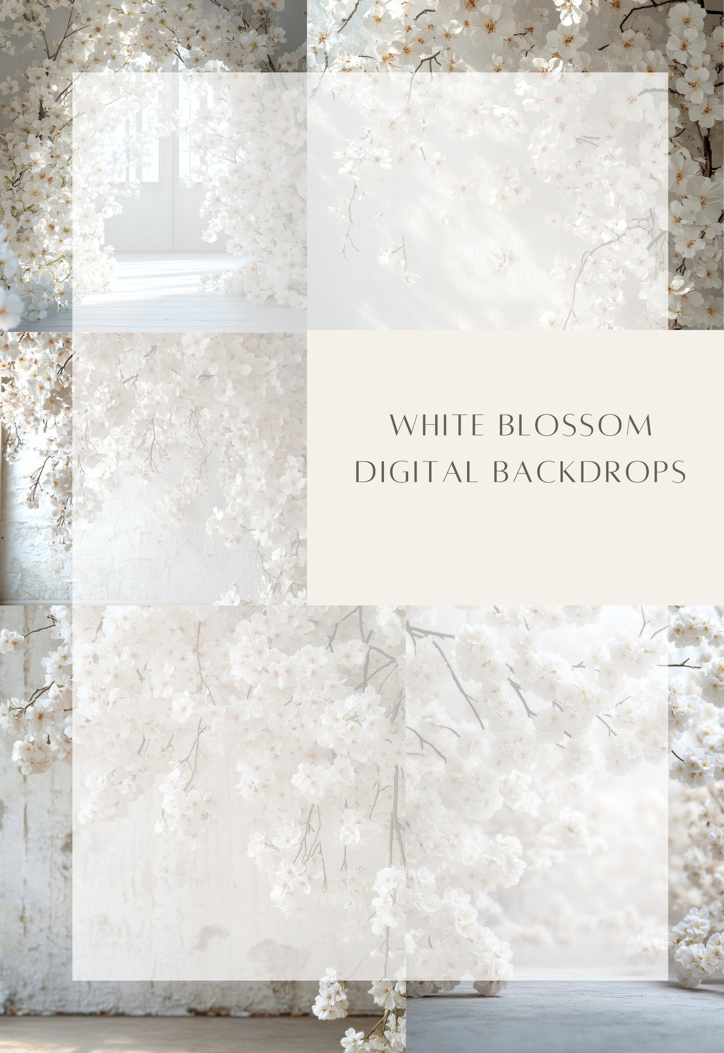 White Blossom Floral Digital Backdrops