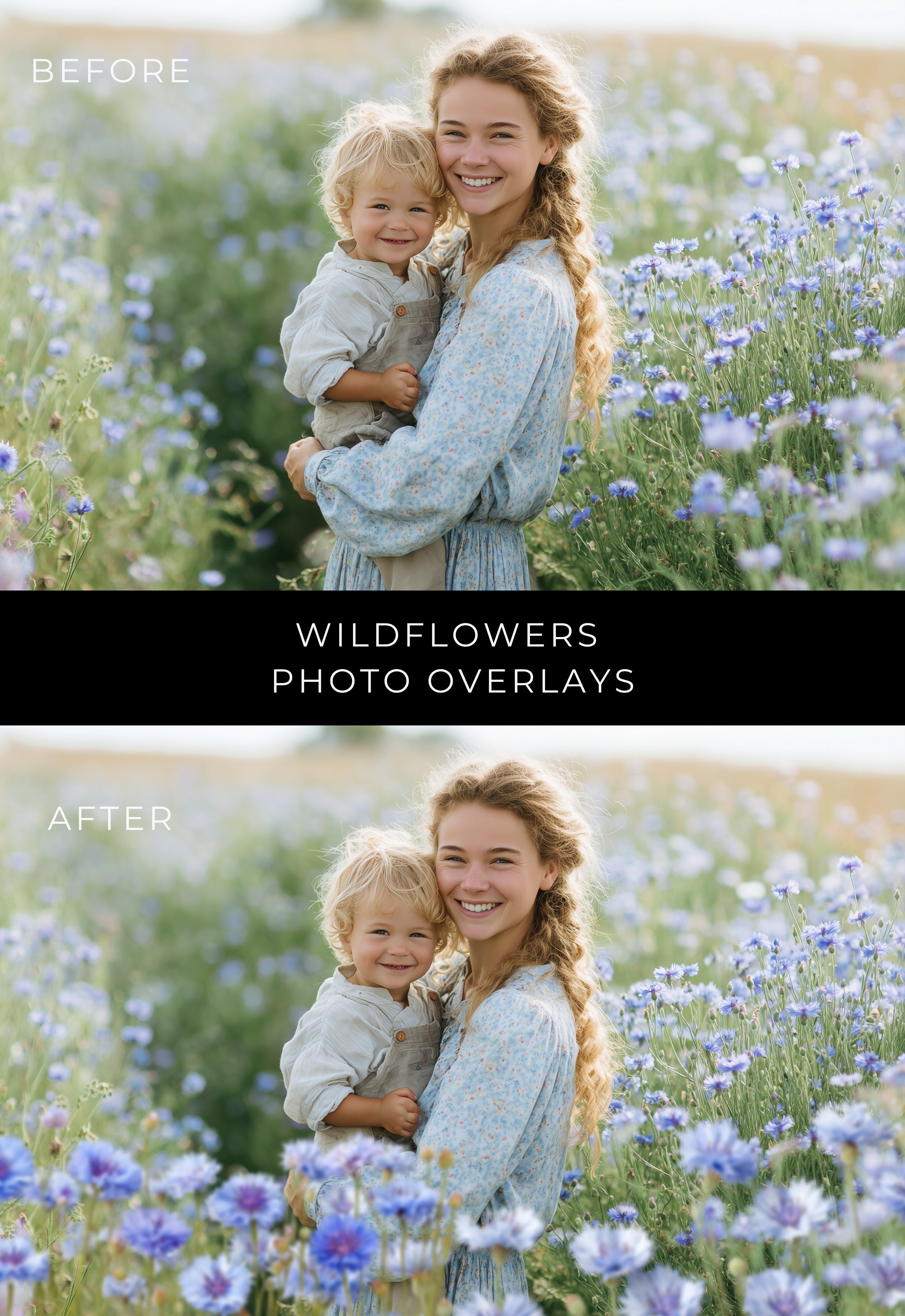 55 Wildflowers Soft Border Photo Overlays