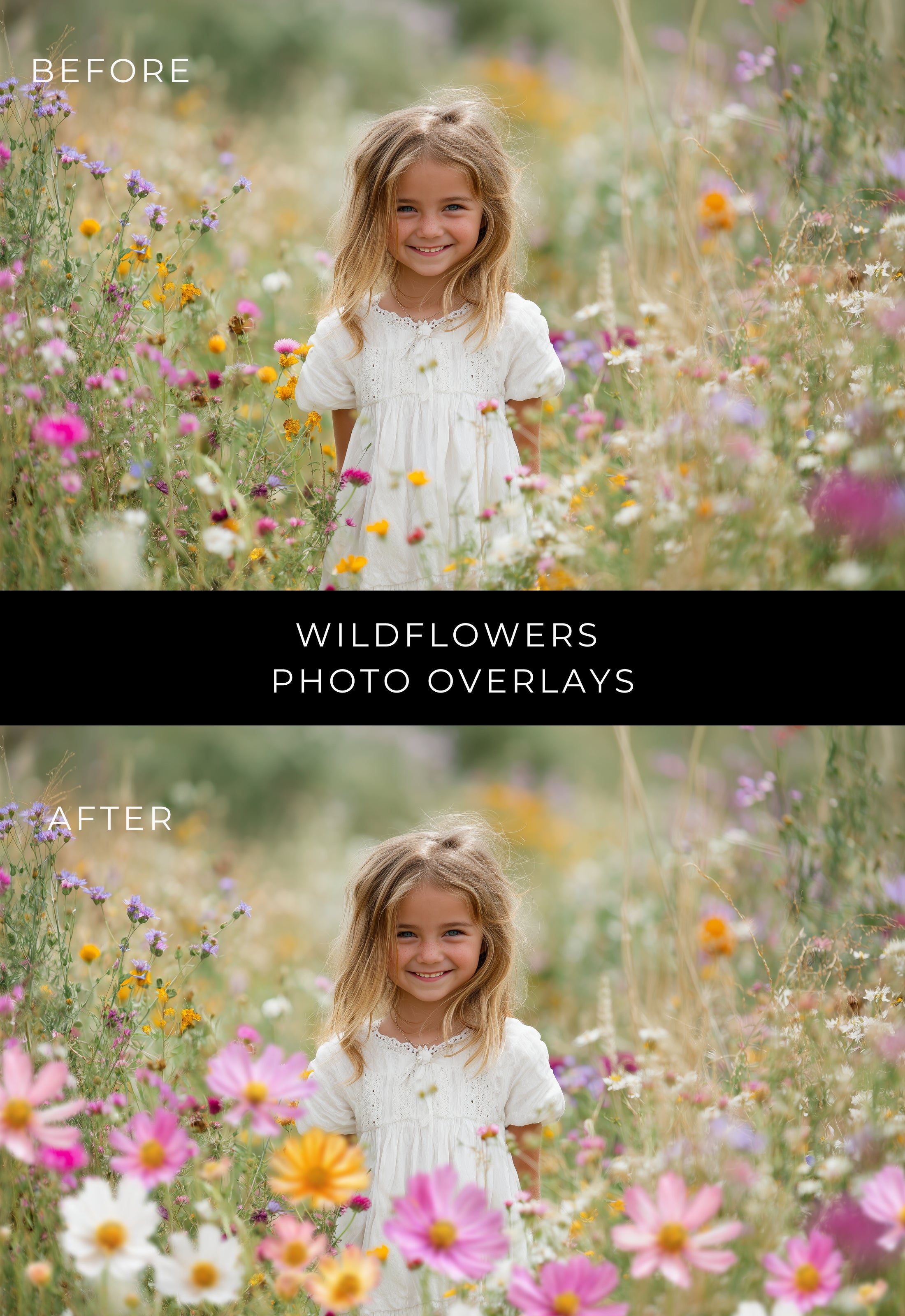 55 Wildflowers Soft Border Photo Overlays