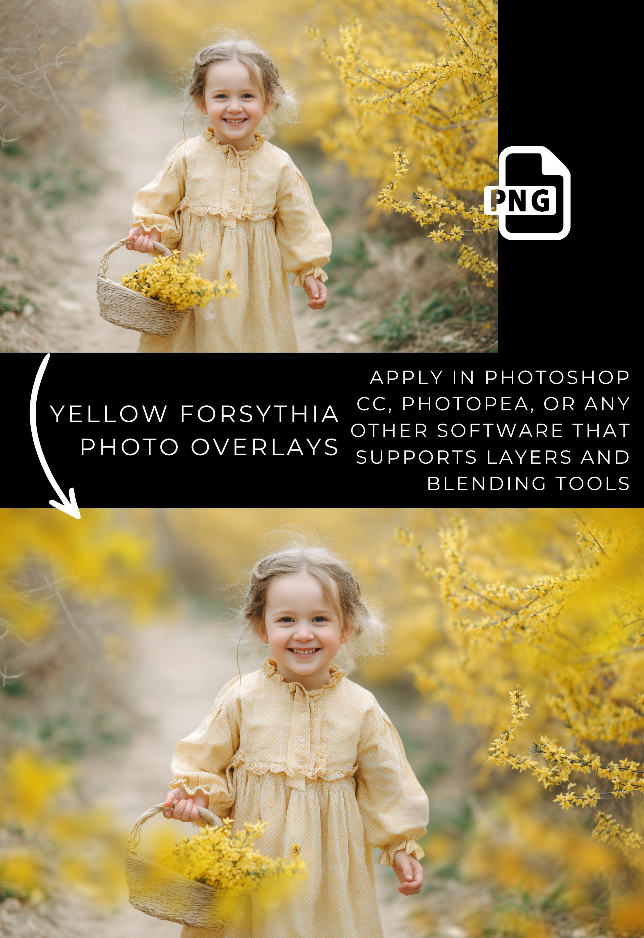 Yellow Forsythia Spring Floral Photo Overlays Digital Download