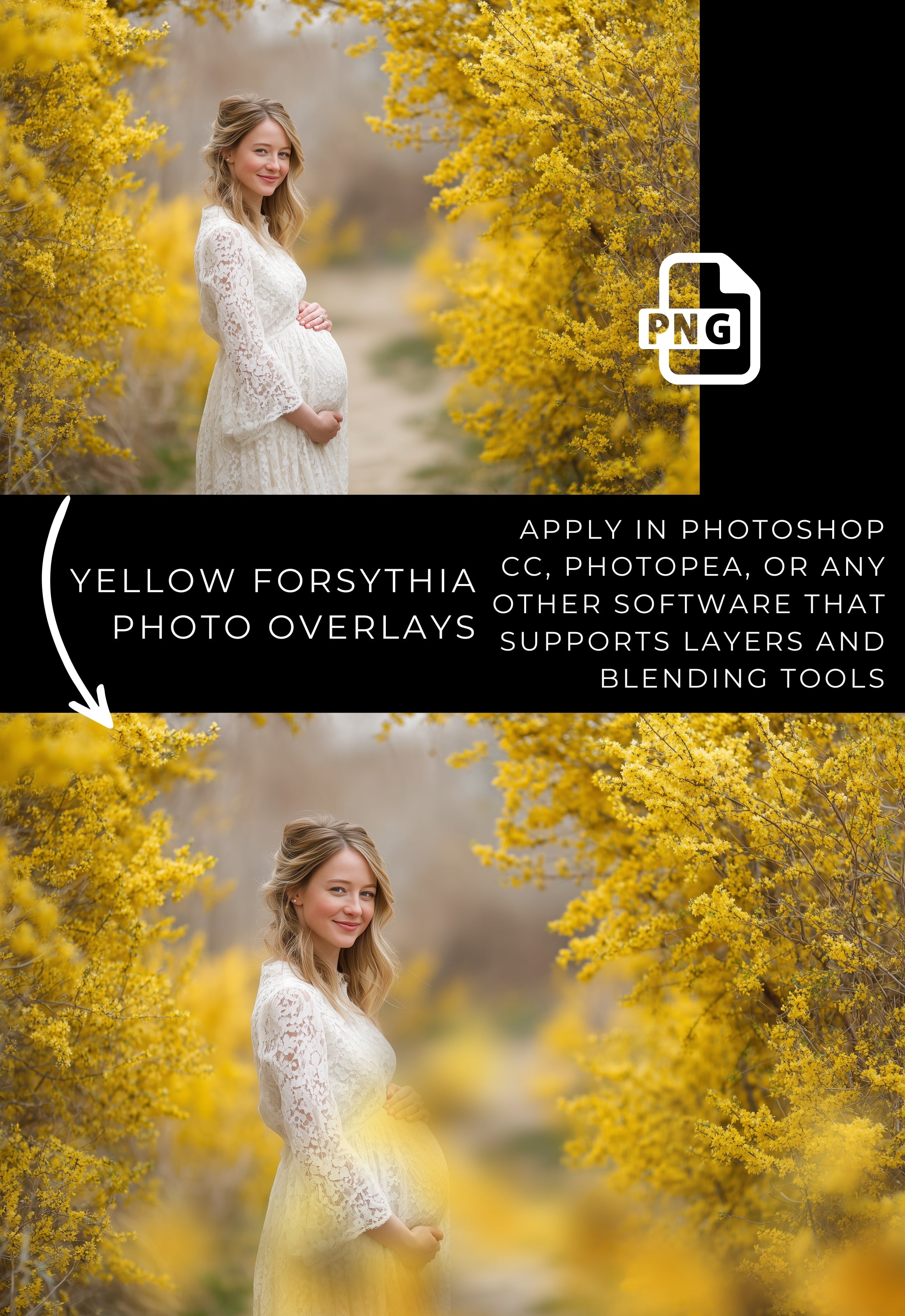 Yellow Forsythia Spring Floral Photo Overlays Digital Download