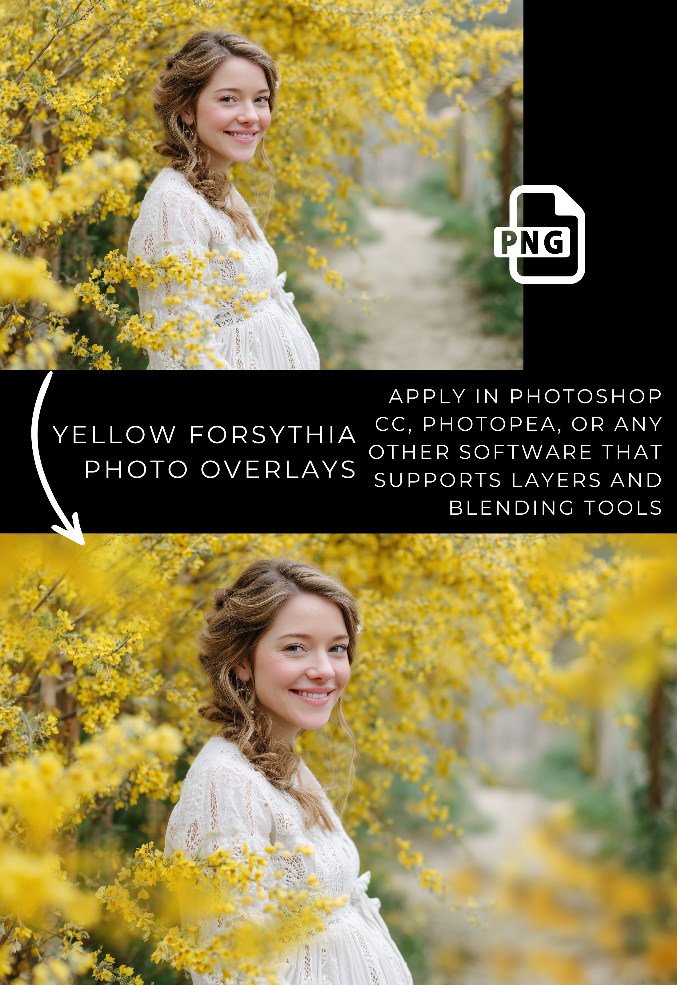 Yellow Forsythia Spring Floral Photo Overlays Digital Download