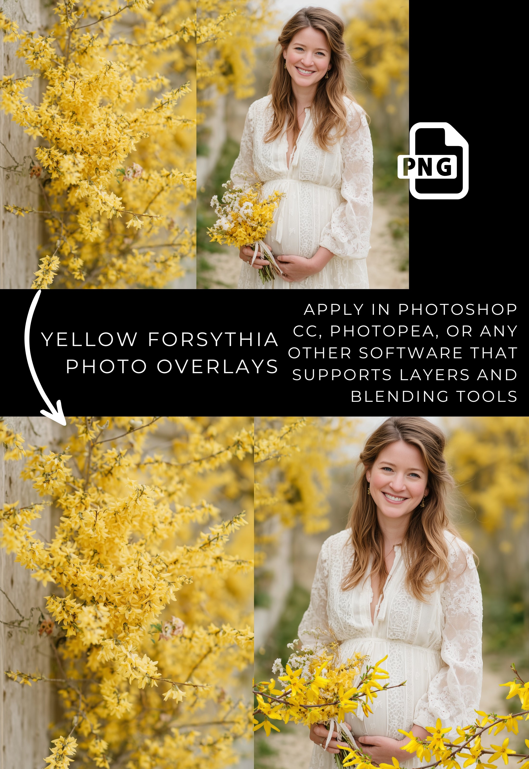 Yellow Forsythia Spring Floral Photo Overlays Digital Download