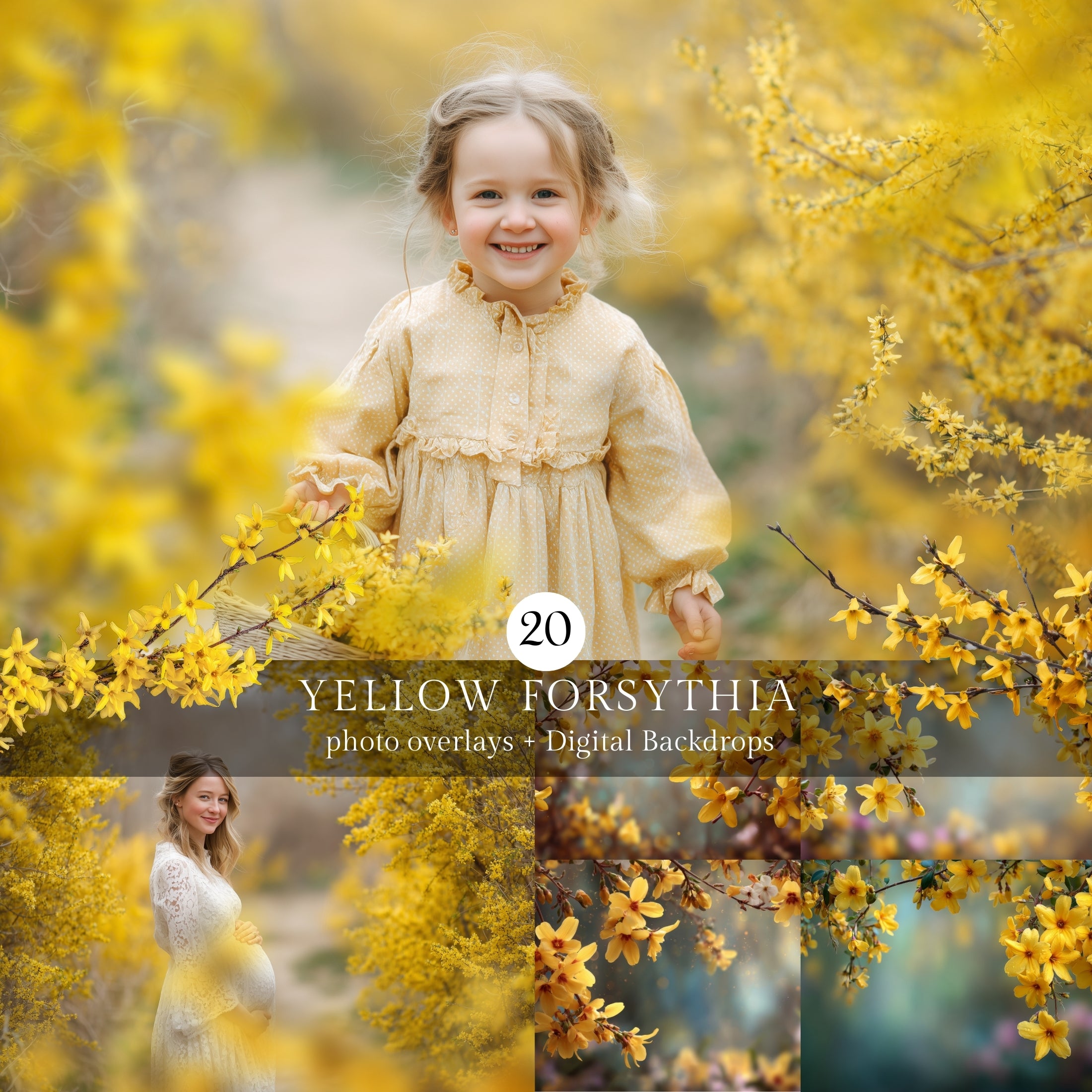 Yellow Forsythia Spring Floral Photo Overlays Digital Download