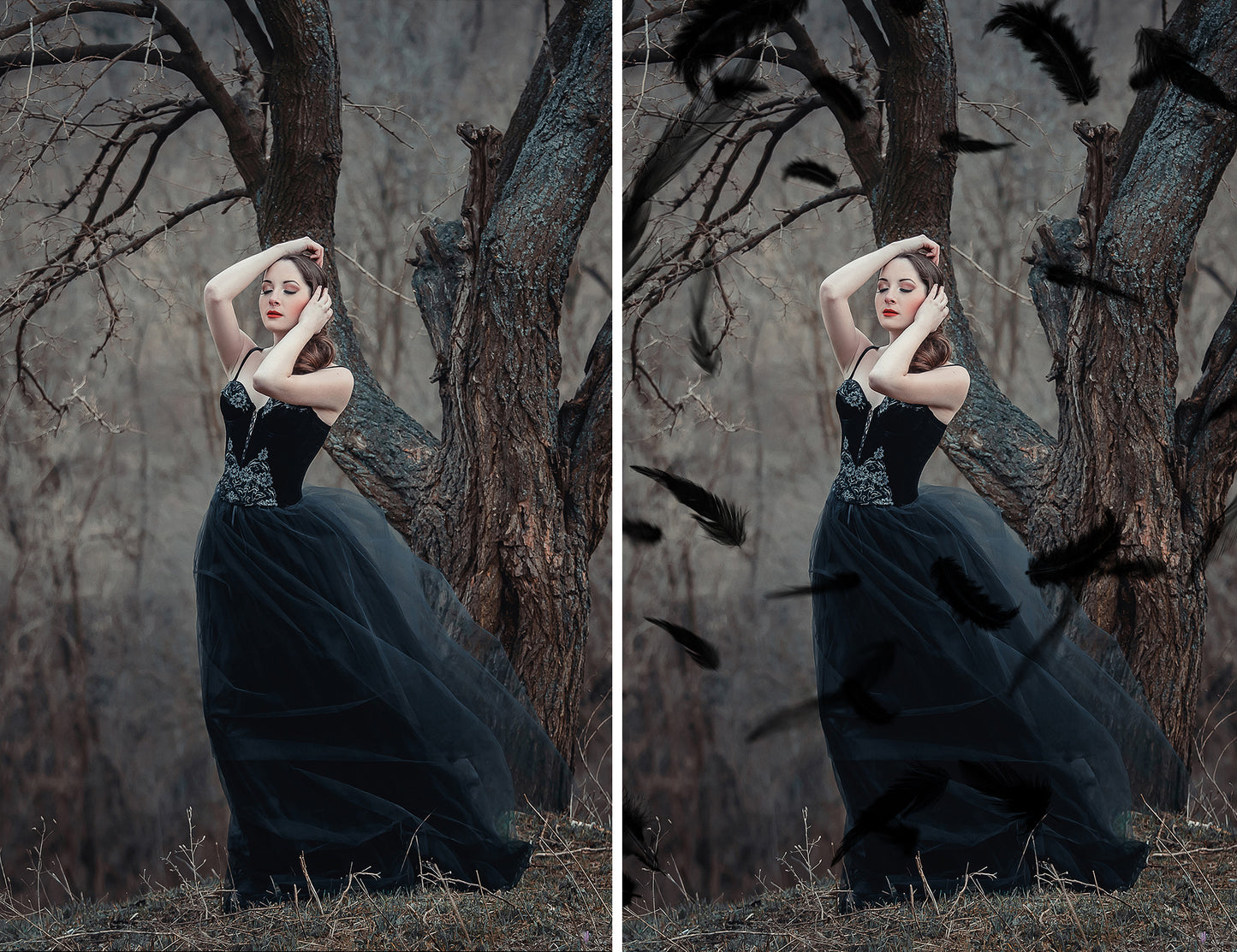 Black Falling Feathers Photo Overlays
