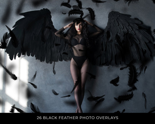 Black Falling Feathers Photo Overlays