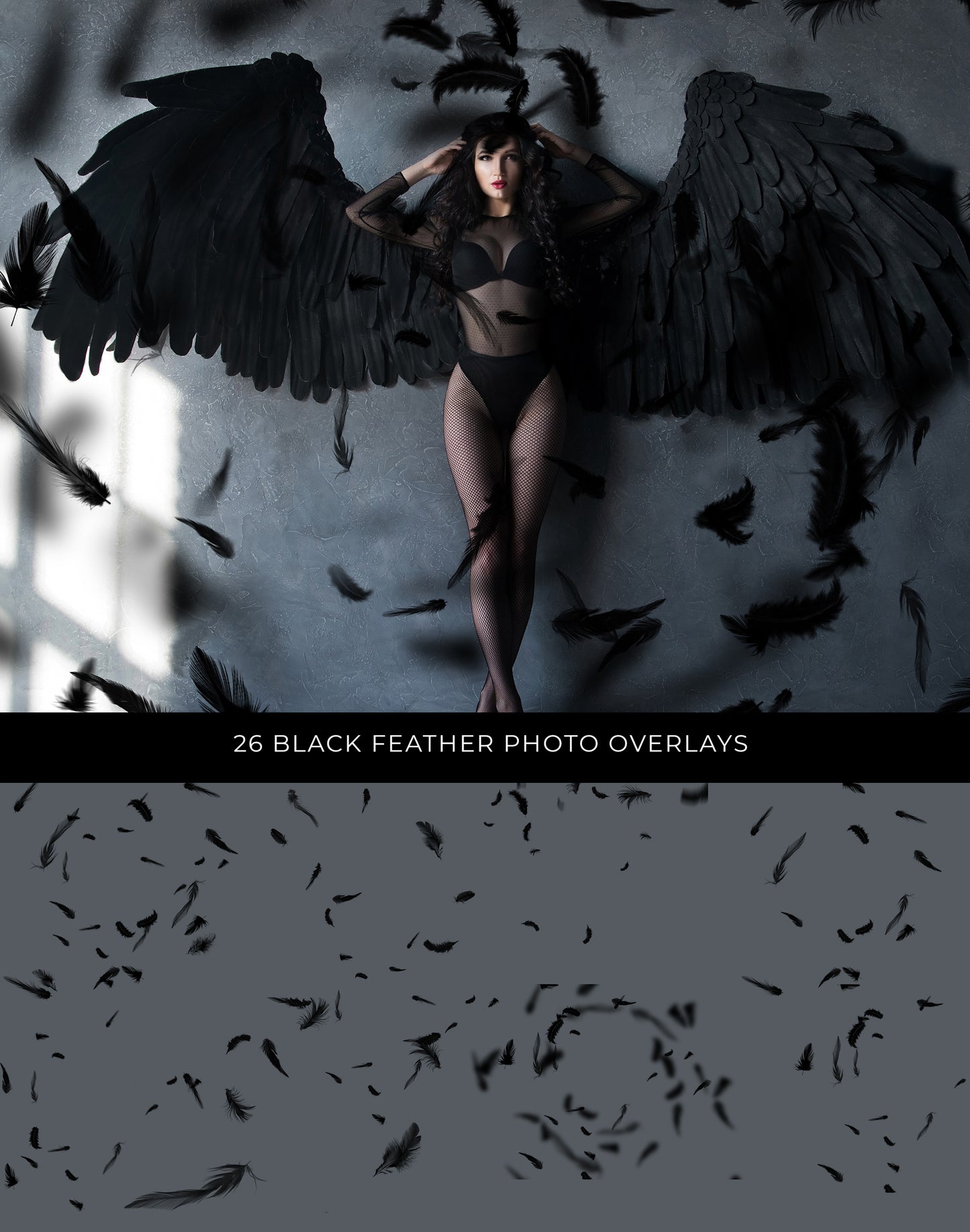 Black Falling Feathers Photo Overlays