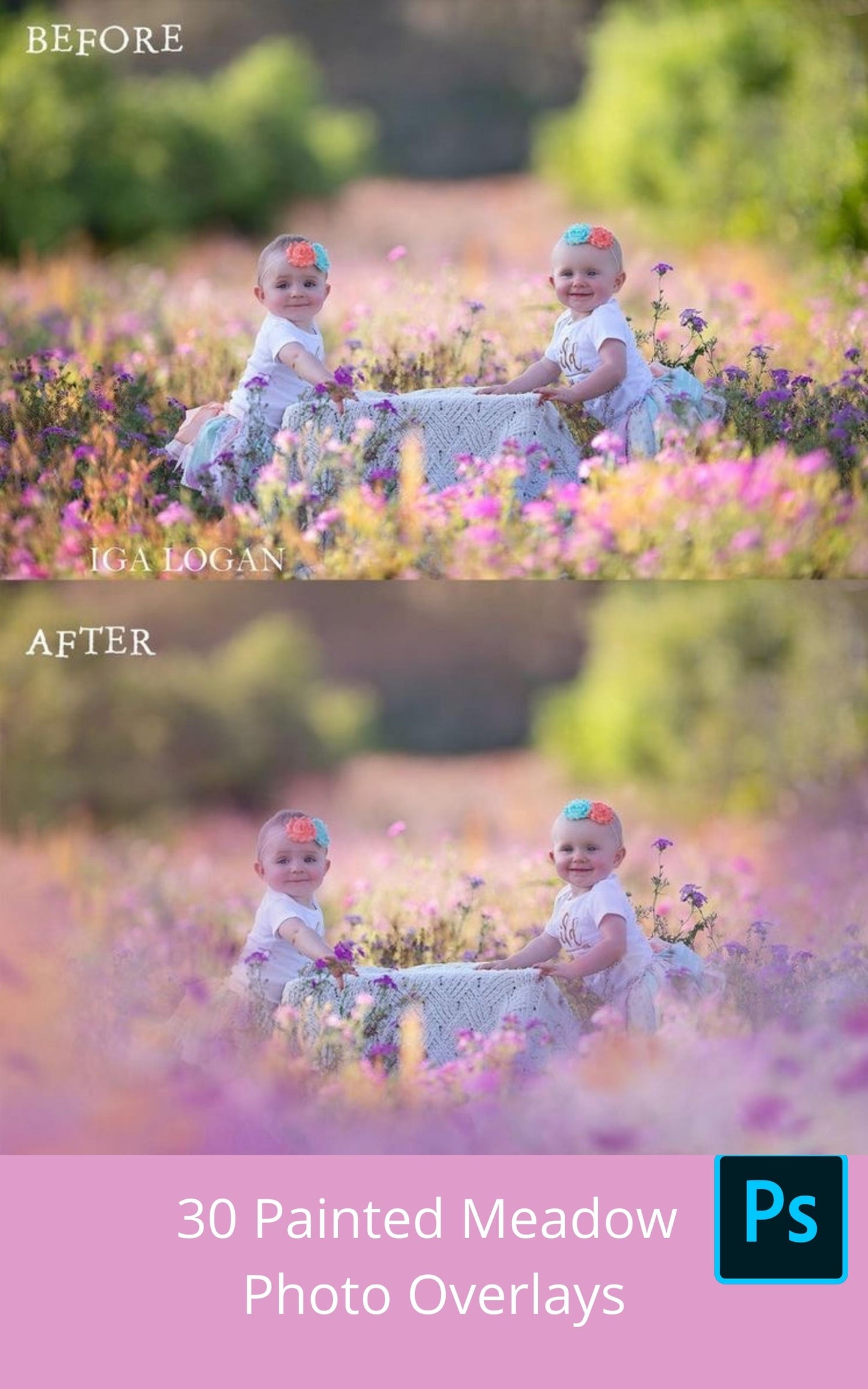 Painted Meadow Photo Overlays
