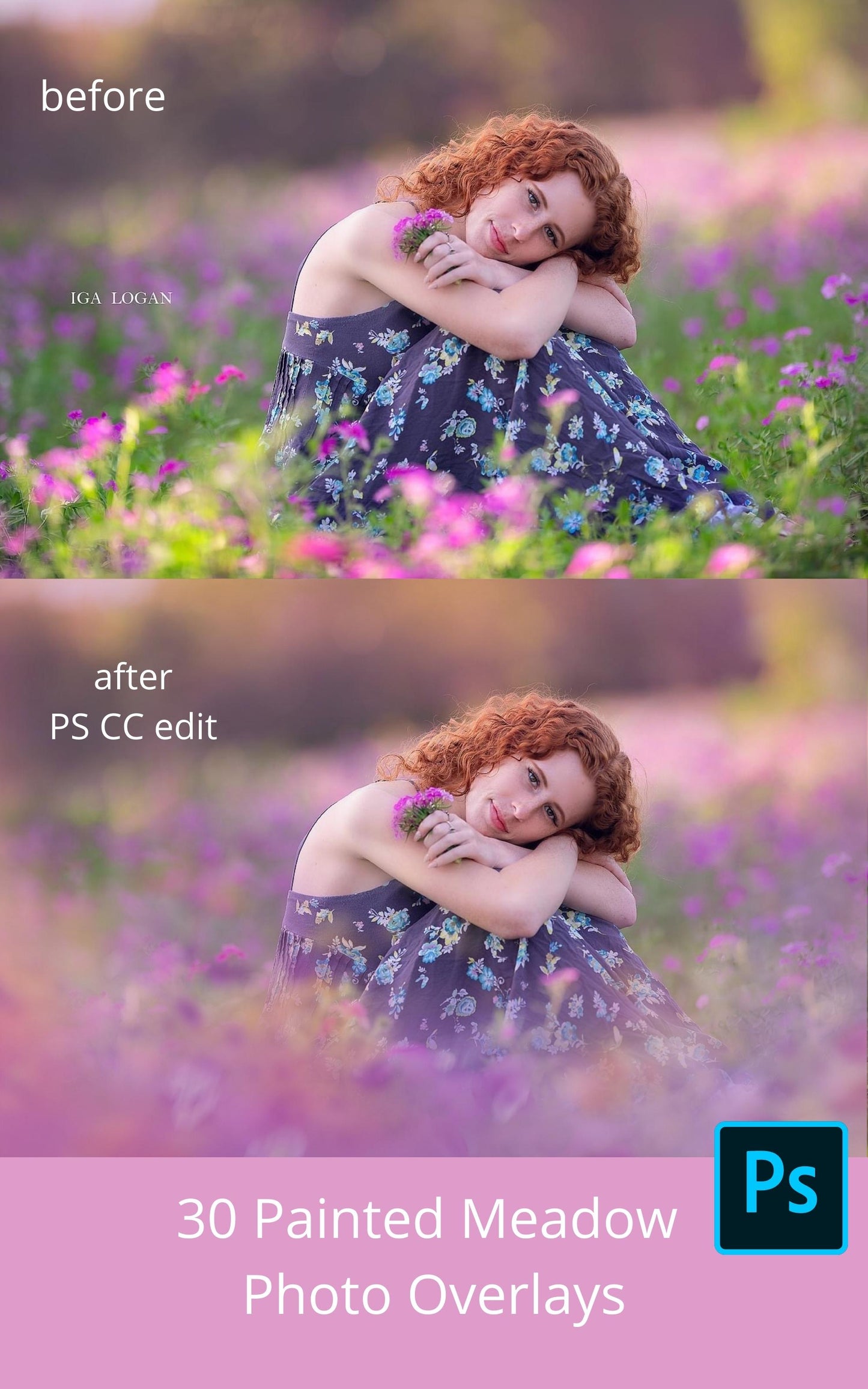 Painted Meadow Photo Overlays