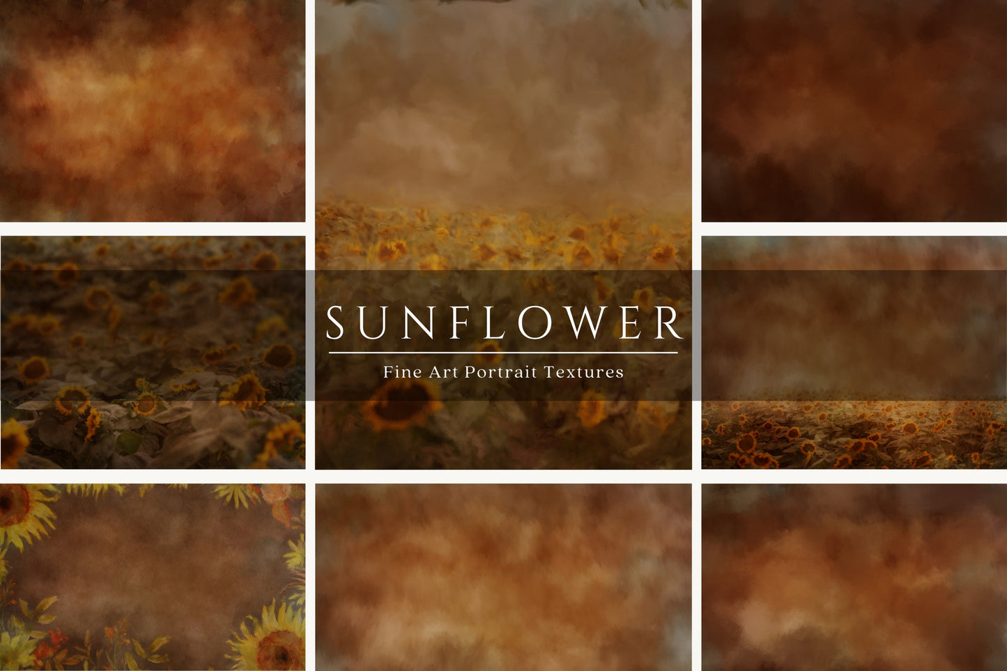 Sunflower Fine Art Textures
