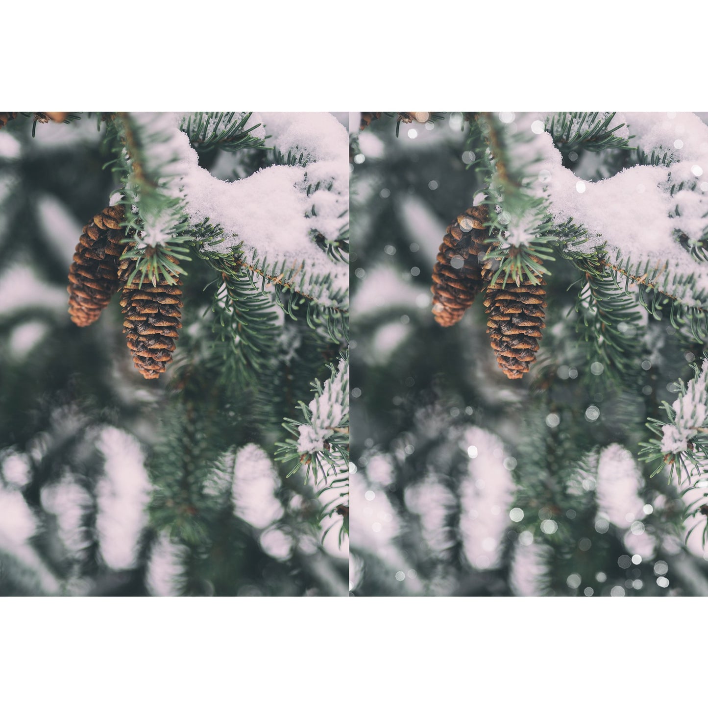 White Wedding Snow & Bokeh Photo Overlays