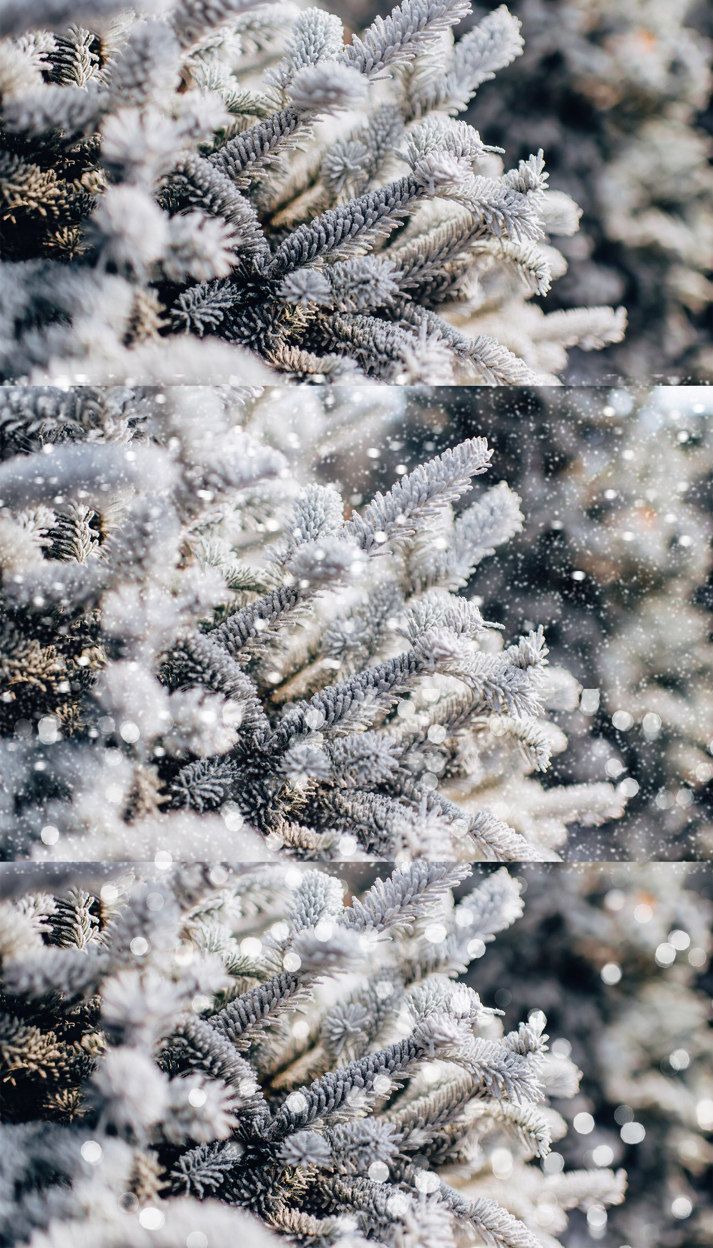 White Wedding Snow & Bokeh Photo Overlays