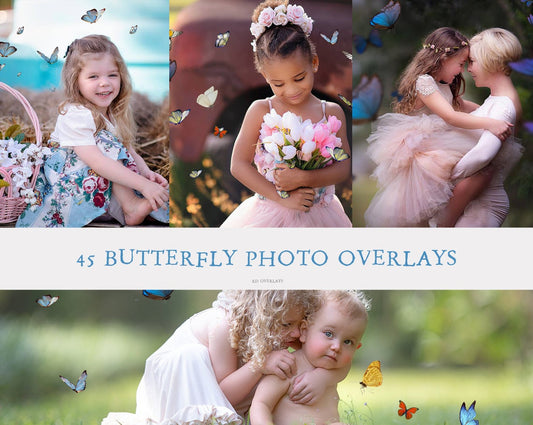 Butterfly Wish Photo Overlays