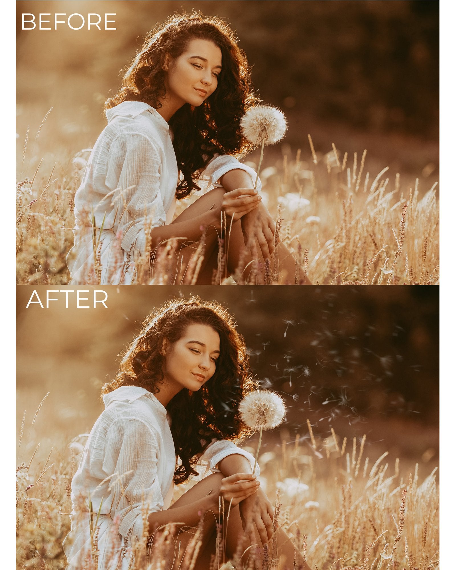 Dandelion Photo Overlays & Digital Backgrounds - Photoshop Overlays, Digital Backgrounds and Lightroom Presets