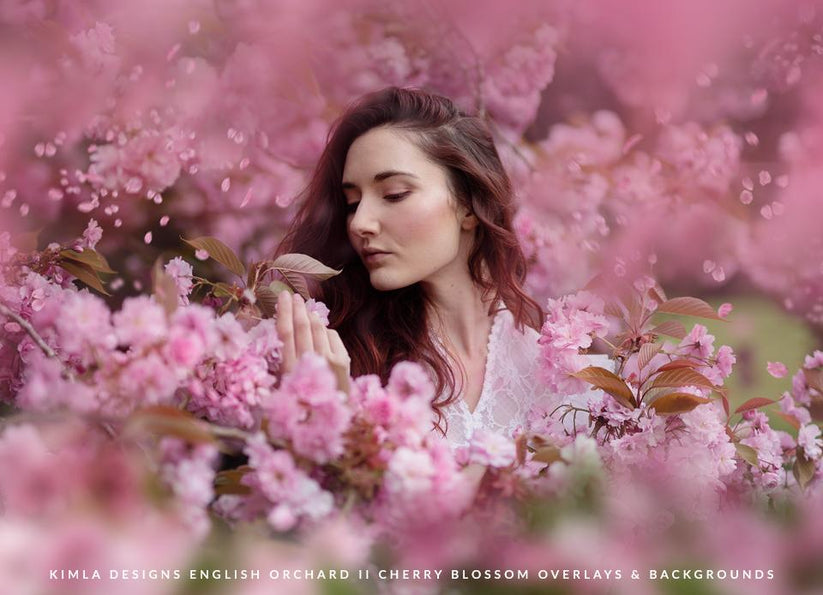 Cherry Blossom Photo Overlays – Kimla Designs Photography