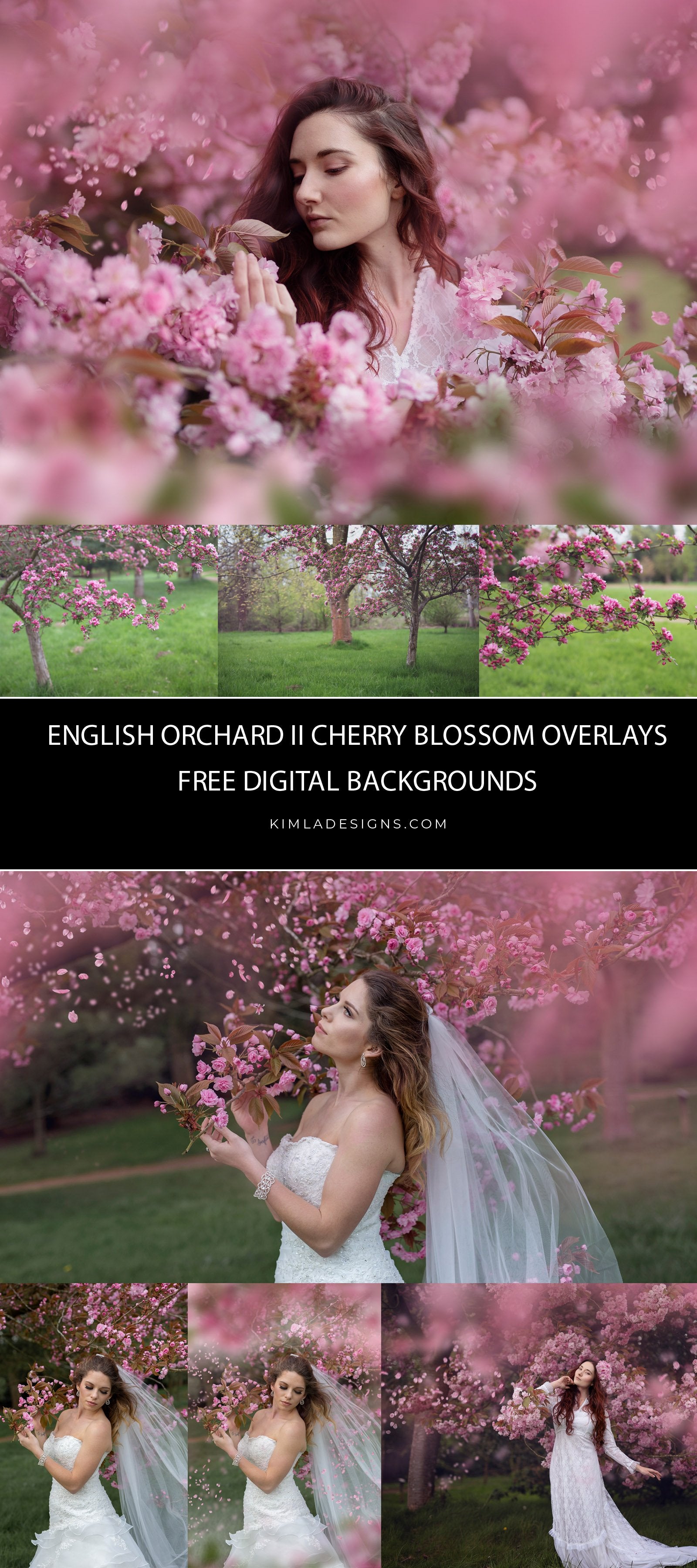 English Orchard vol. 2 Cherry Blossom Overlays + Free Gift - Photoshop Overlays, Digital Backgrounds and Lightroom Presets