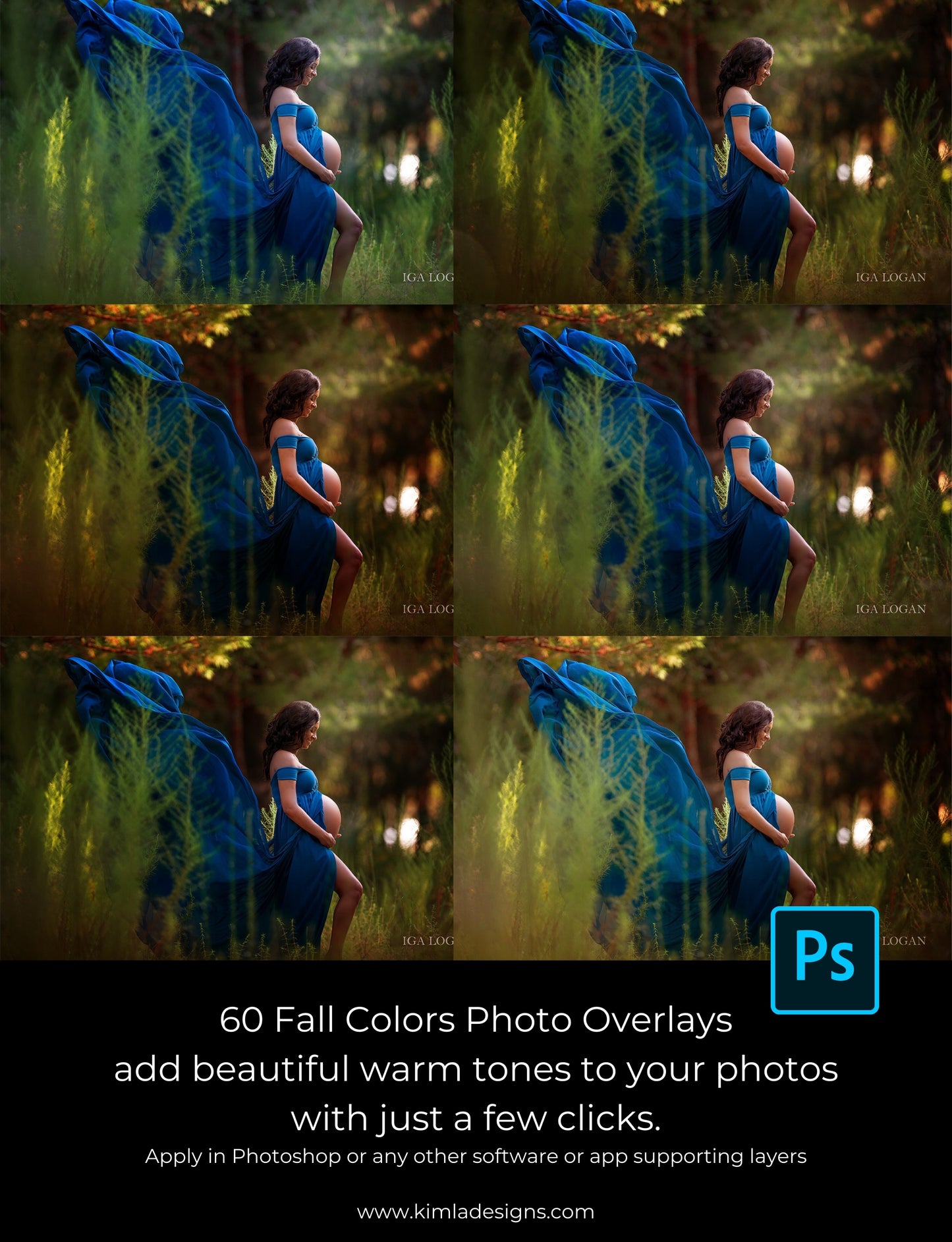 60 Fall Colors Photo Overlays
