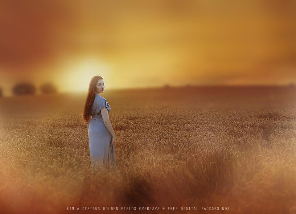 Golden Fields Photo Overlays + Free Gift - Photoshop Overlays, Digital Backgrounds and Lightroom Presets