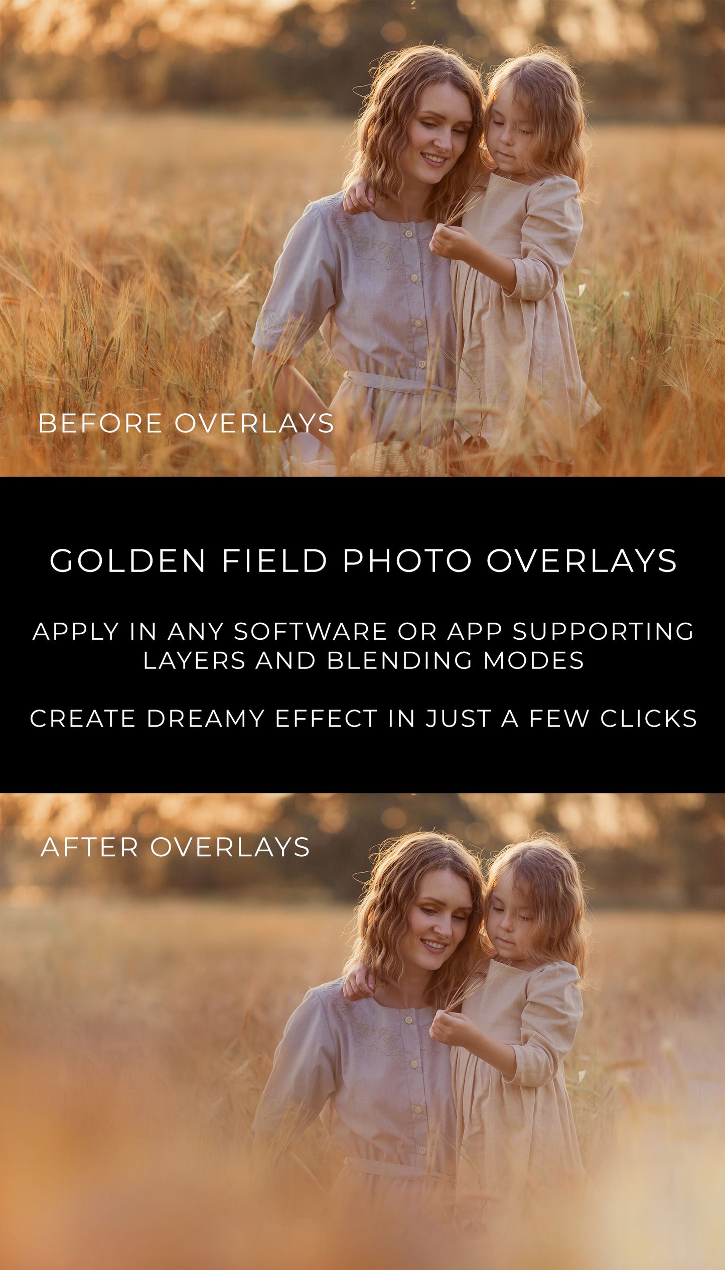 Golden Fields Photo Overlays + Free Gift