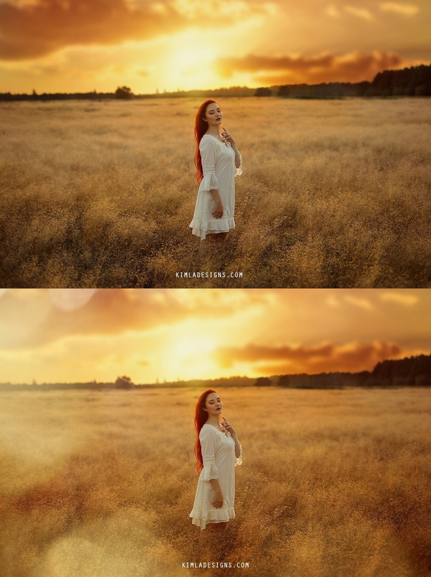 Golden Fields Photo Overlays + Free Gift - Photoshop Overlays, Digital Backgrounds and Lightroom Presets