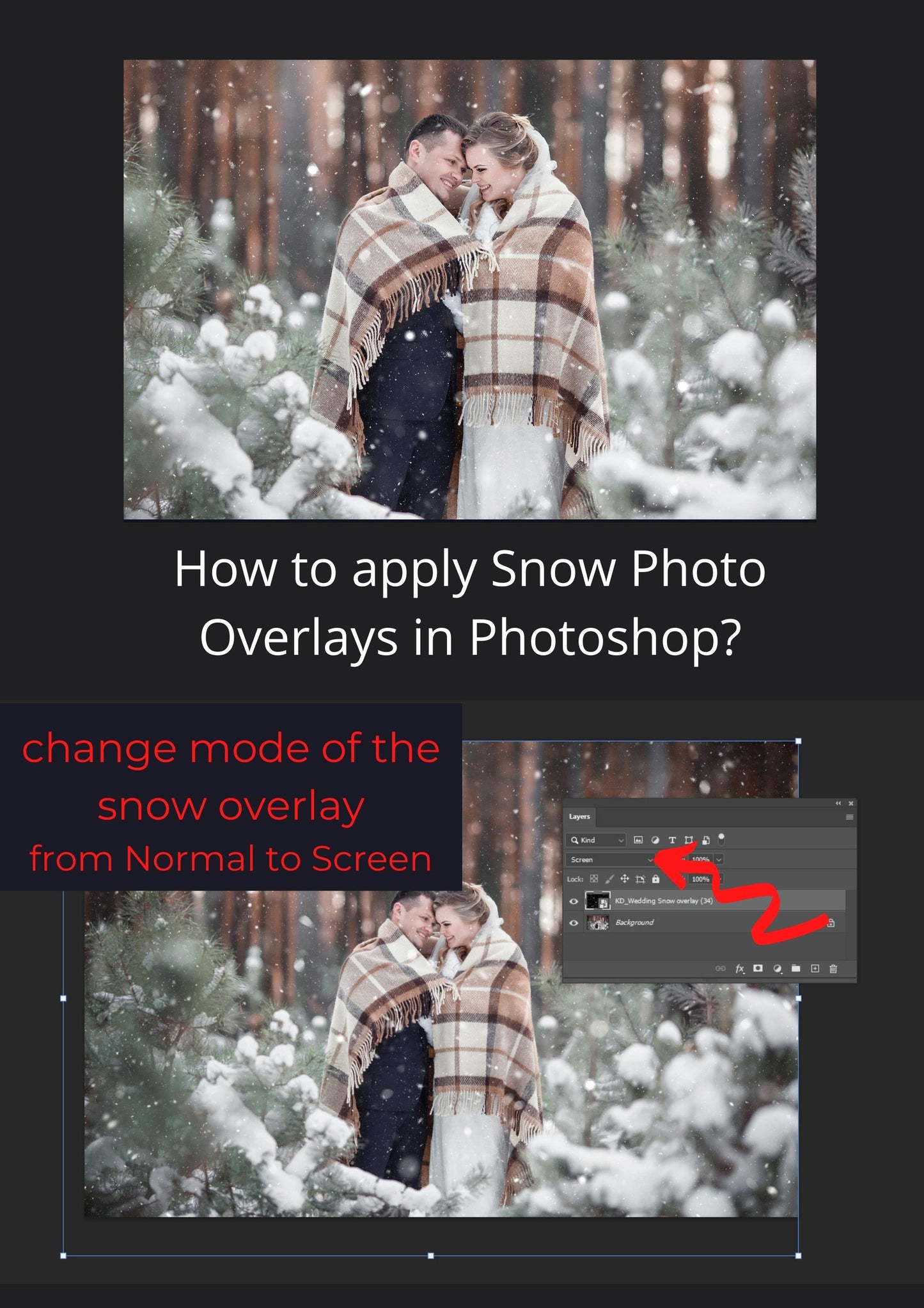 White Wedding Snow & Bokeh Photo Overlays