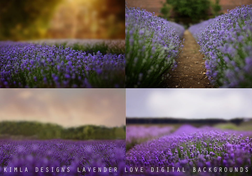 Lavender Love Photo Overlays + Free Gift - Photoshop Overlays, Digital Backgrounds and Lightroom Presets