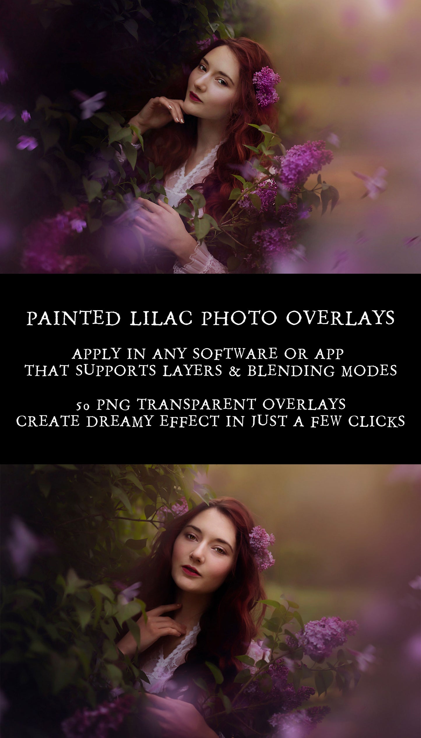 Painted Lilacs Photo Overlays