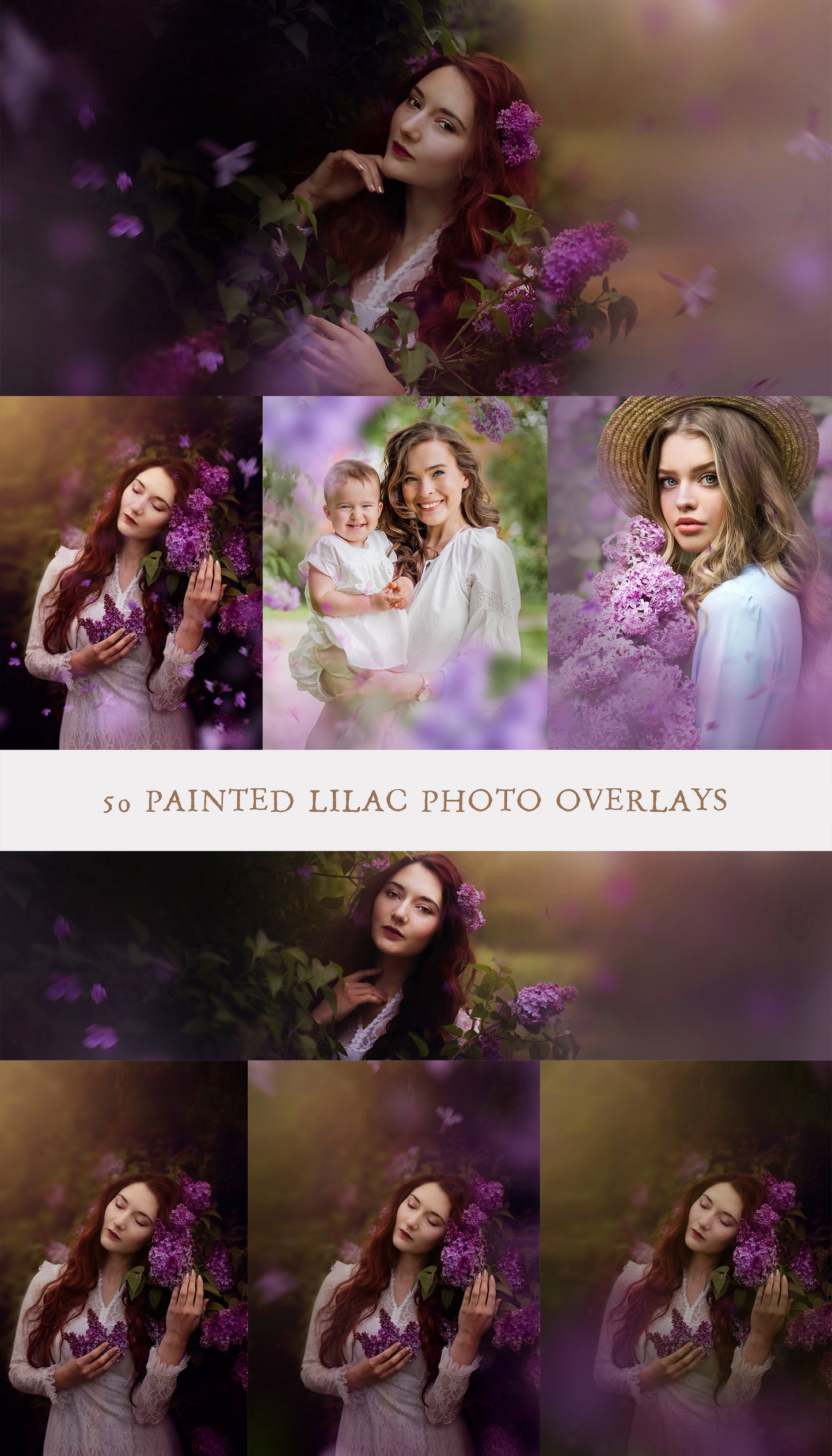 Painted Lilacs Photo Overlays