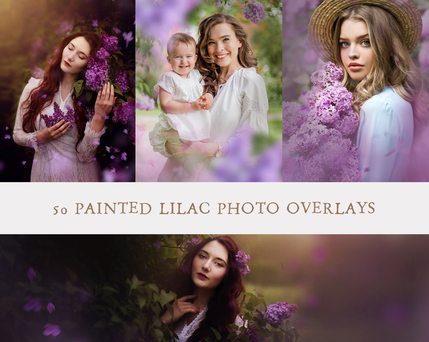 Painted Lilacs Photo Overlays