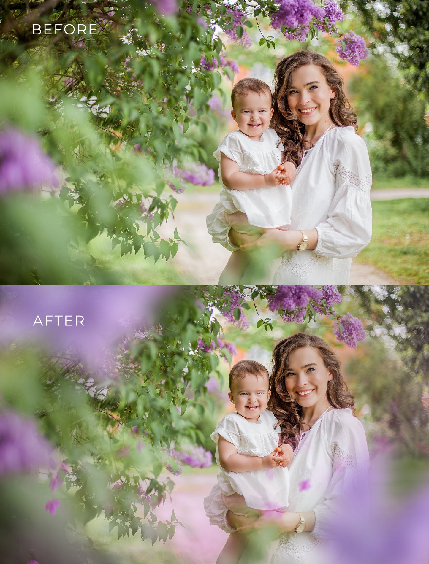 Painted Lilacs Photo Overlays