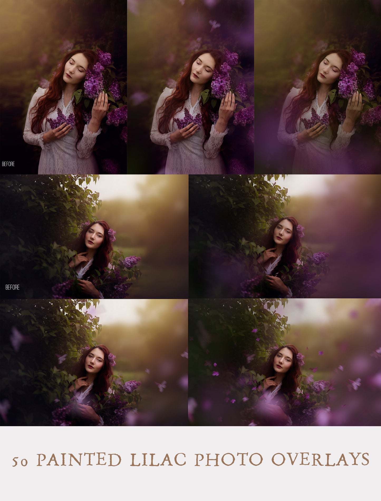 Painted Lilacs Photo Overlays