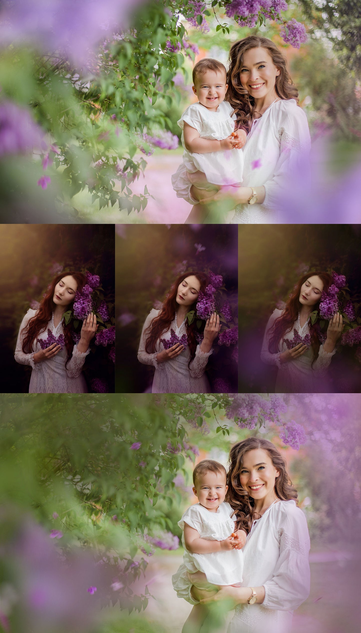 Painted Lilacs Photo Overlays