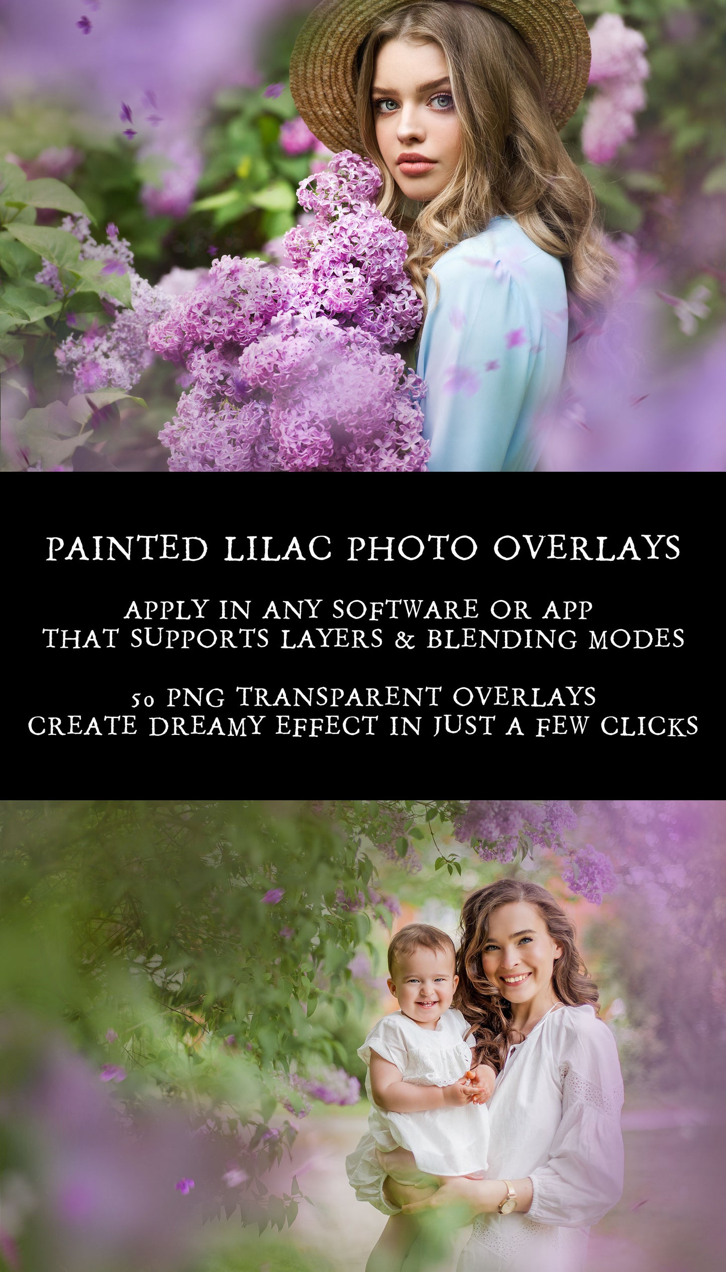 Painted Lilacs Photo Overlays