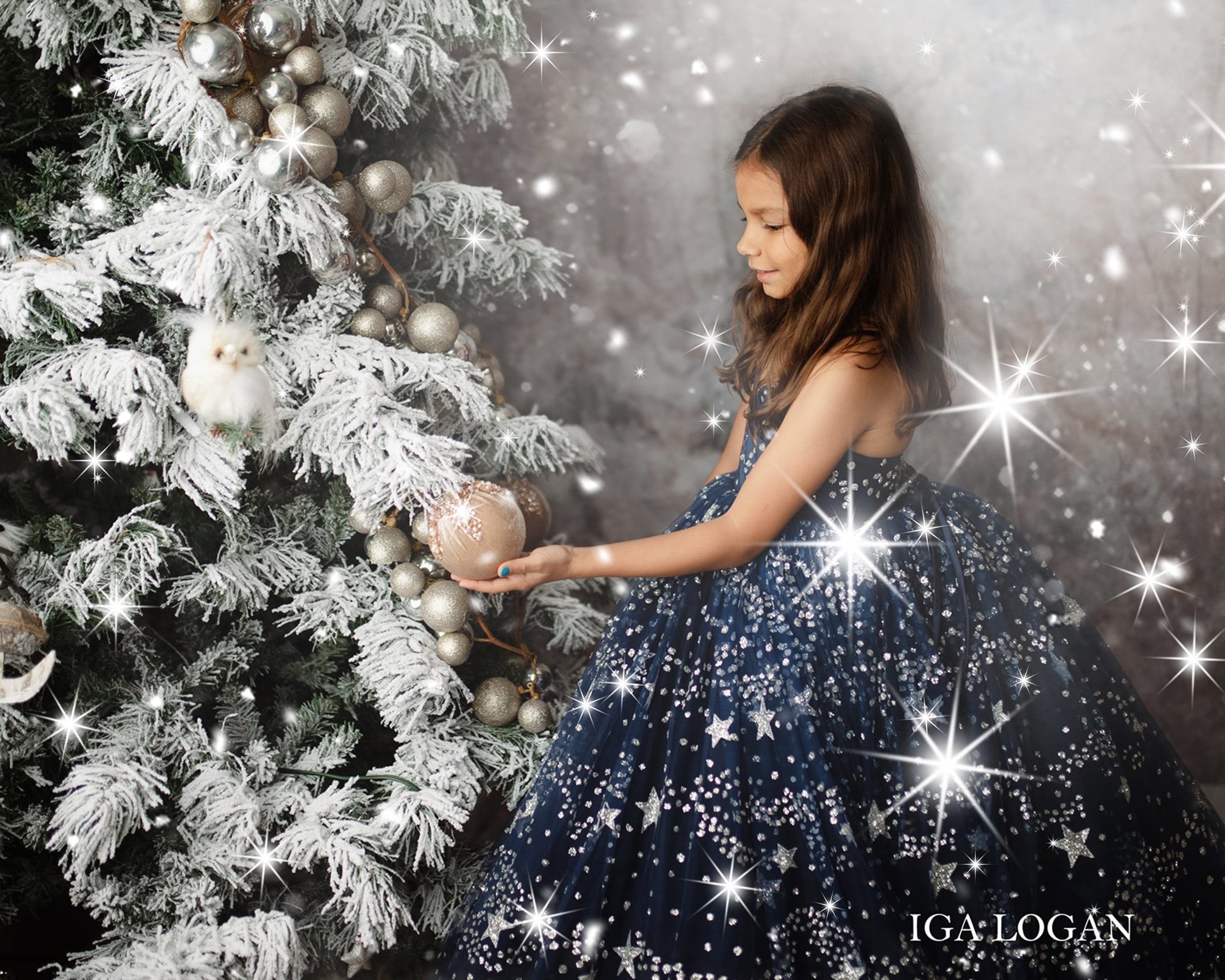 Magical Snow Christmas Photo Overlays