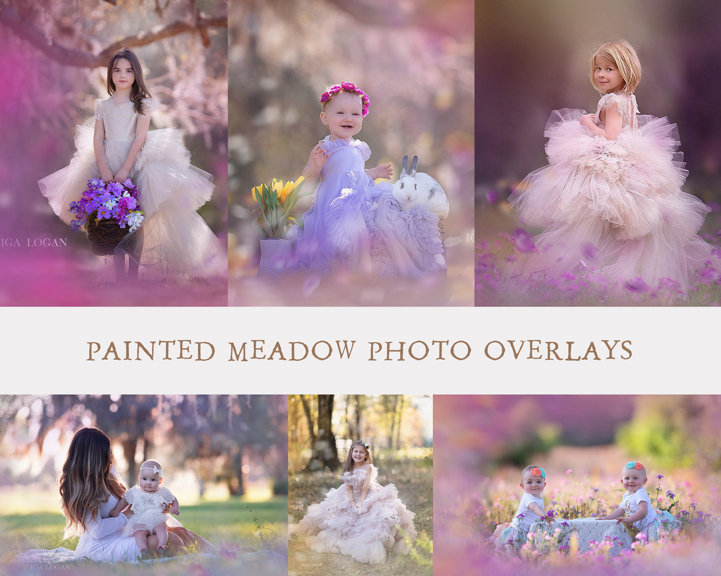 Painted Meadow Photo Overlays