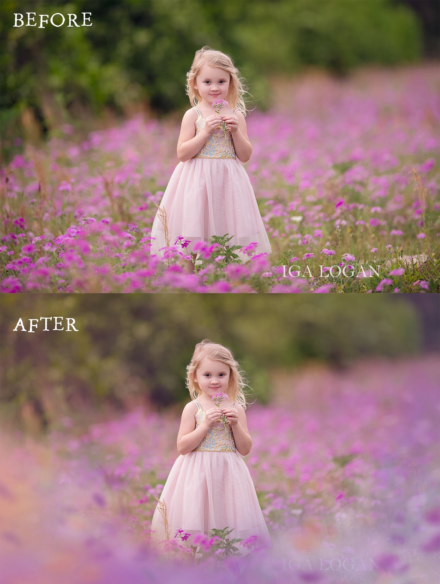 Painted Meadow Photo Overlays