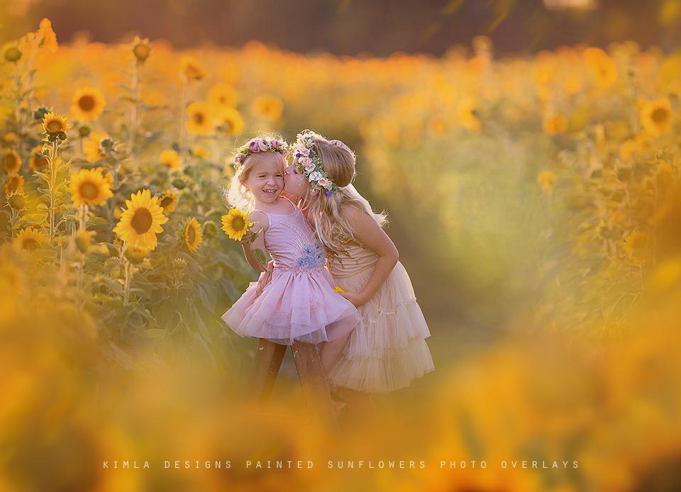 Painted Sunflowers Photo Overlays - Photoshop Overlays, Digital Backgrounds and Lightroom Presets